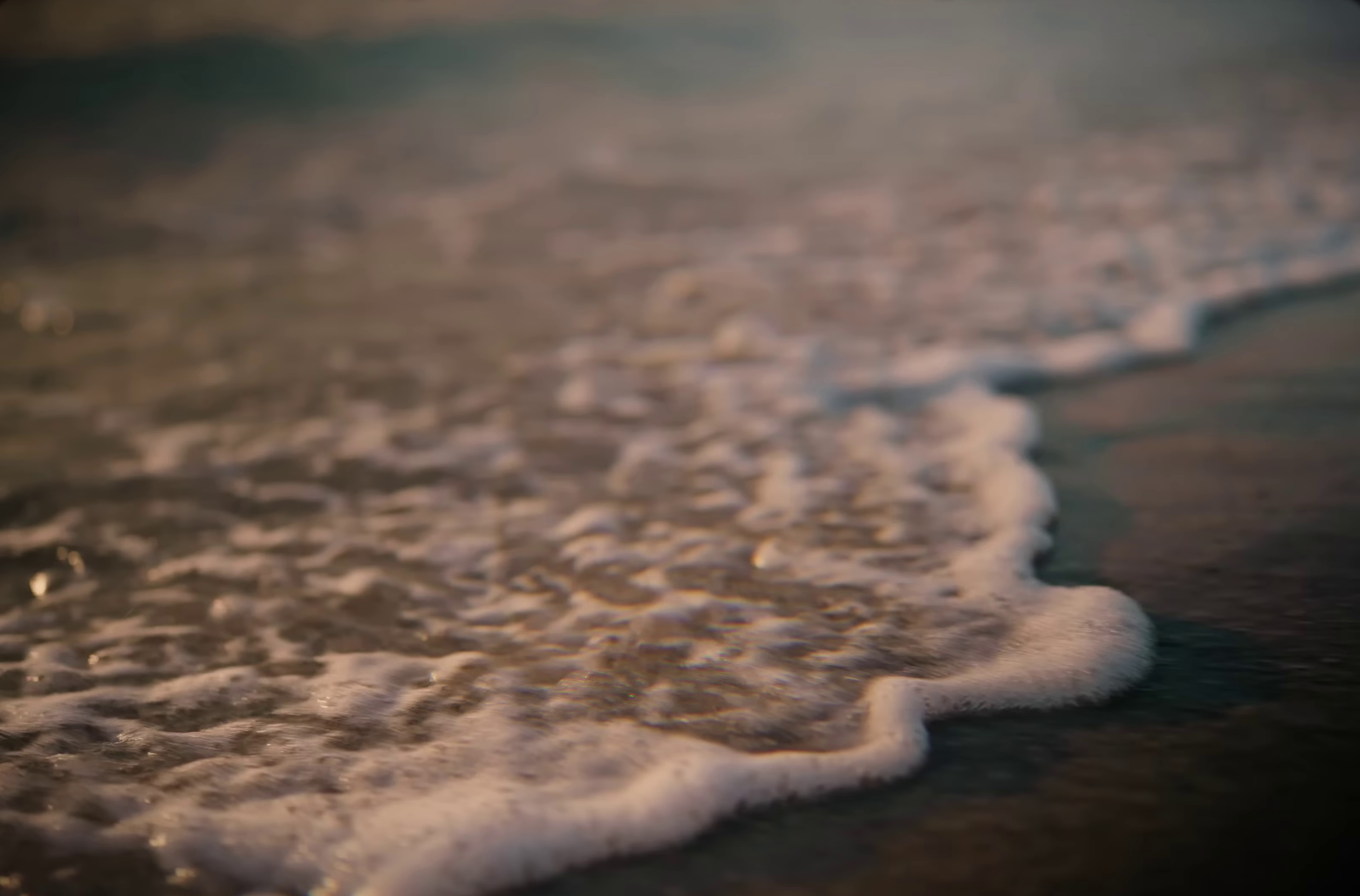 Poulailler  (2023) —  shot,  lighting