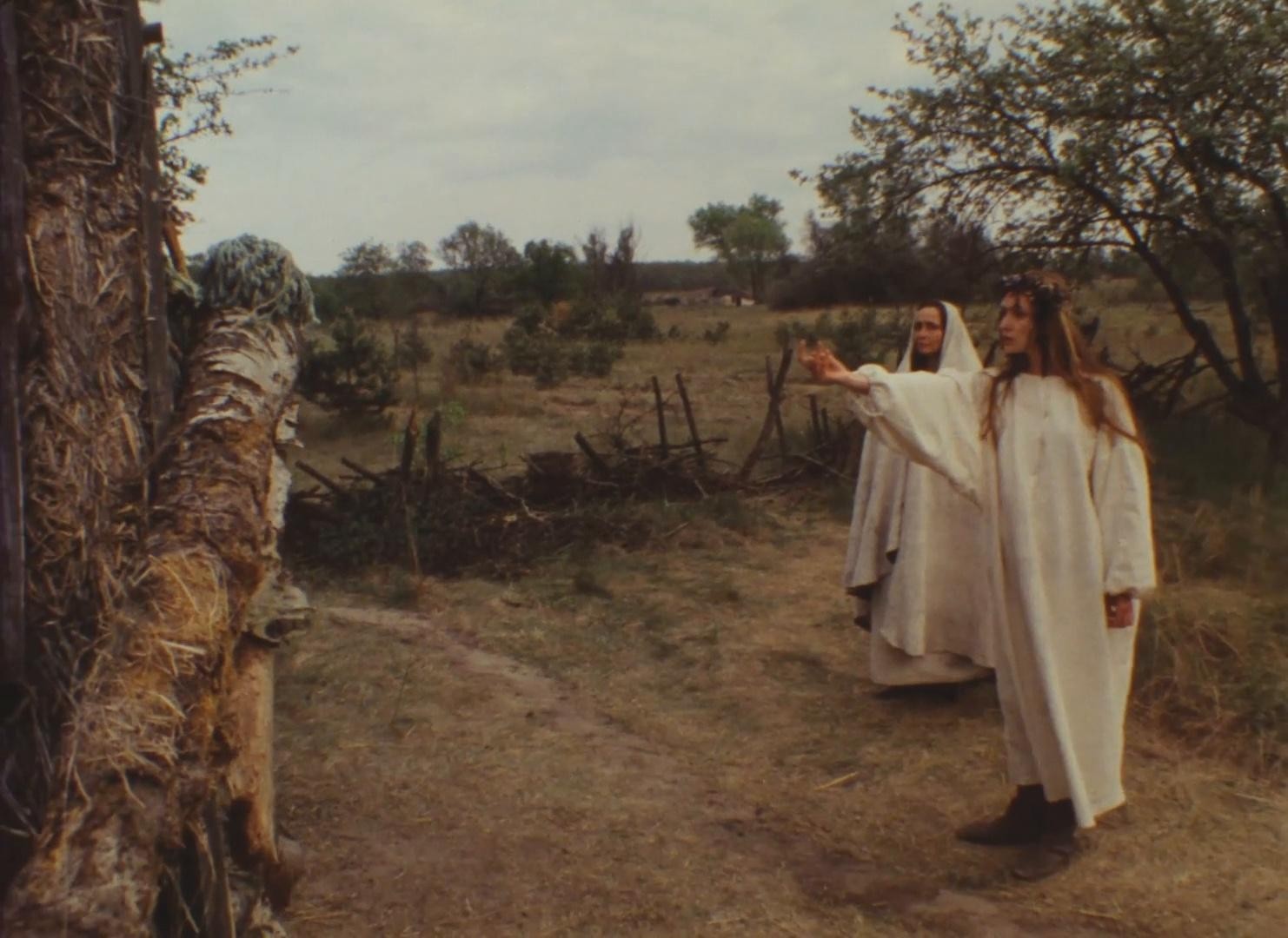 Golos travy (1995) —  shot,  lighting