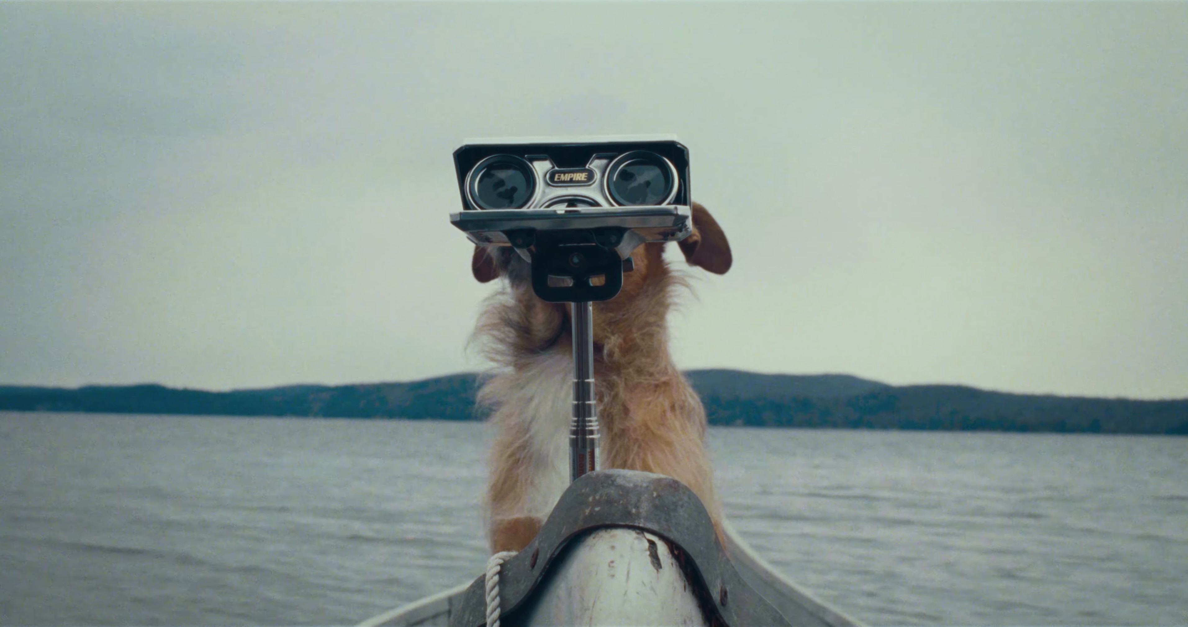 Early Morning Sun (2024) —  shot,  lighting