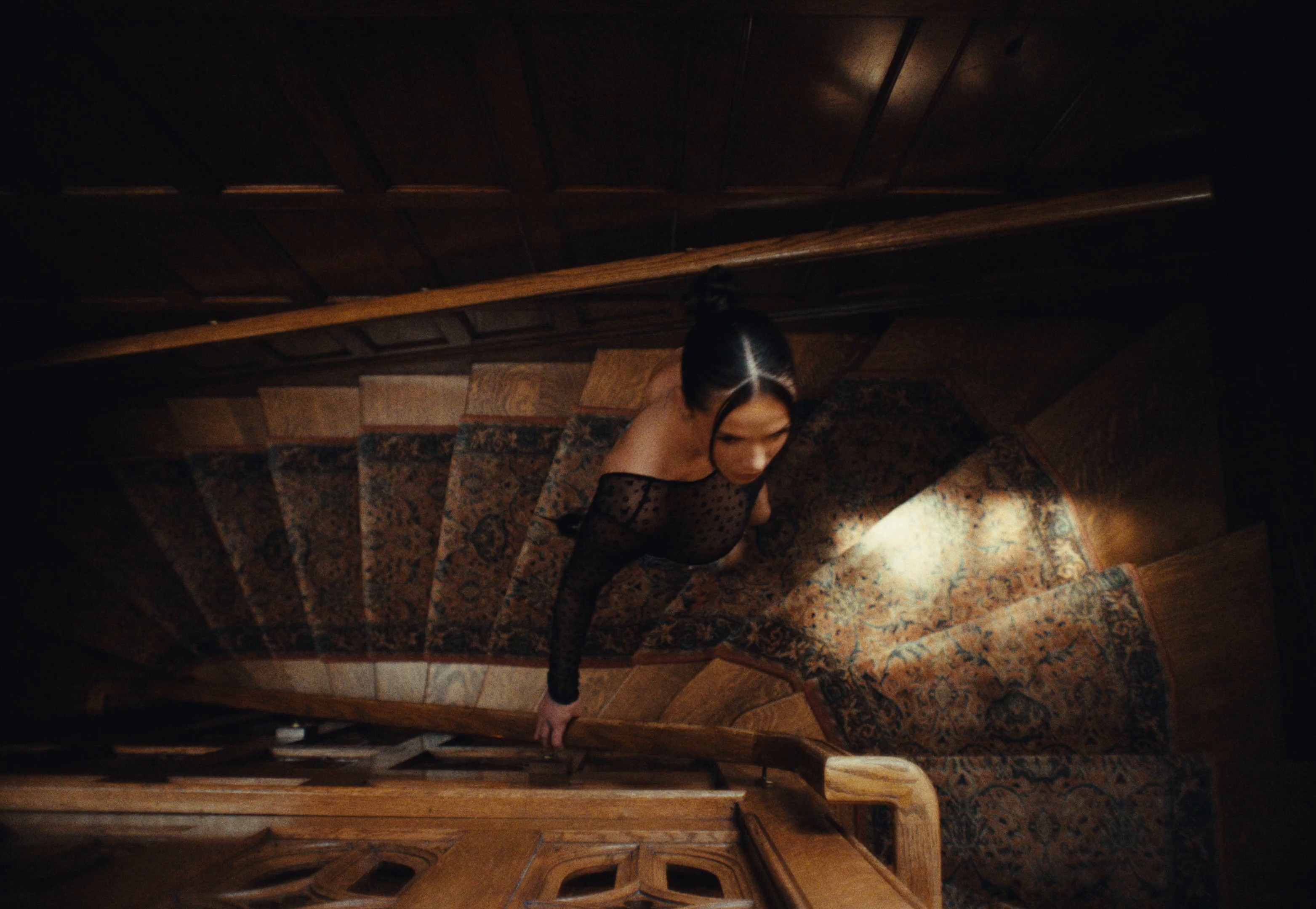 Purple FW24 (2024) —  shot,  lighting