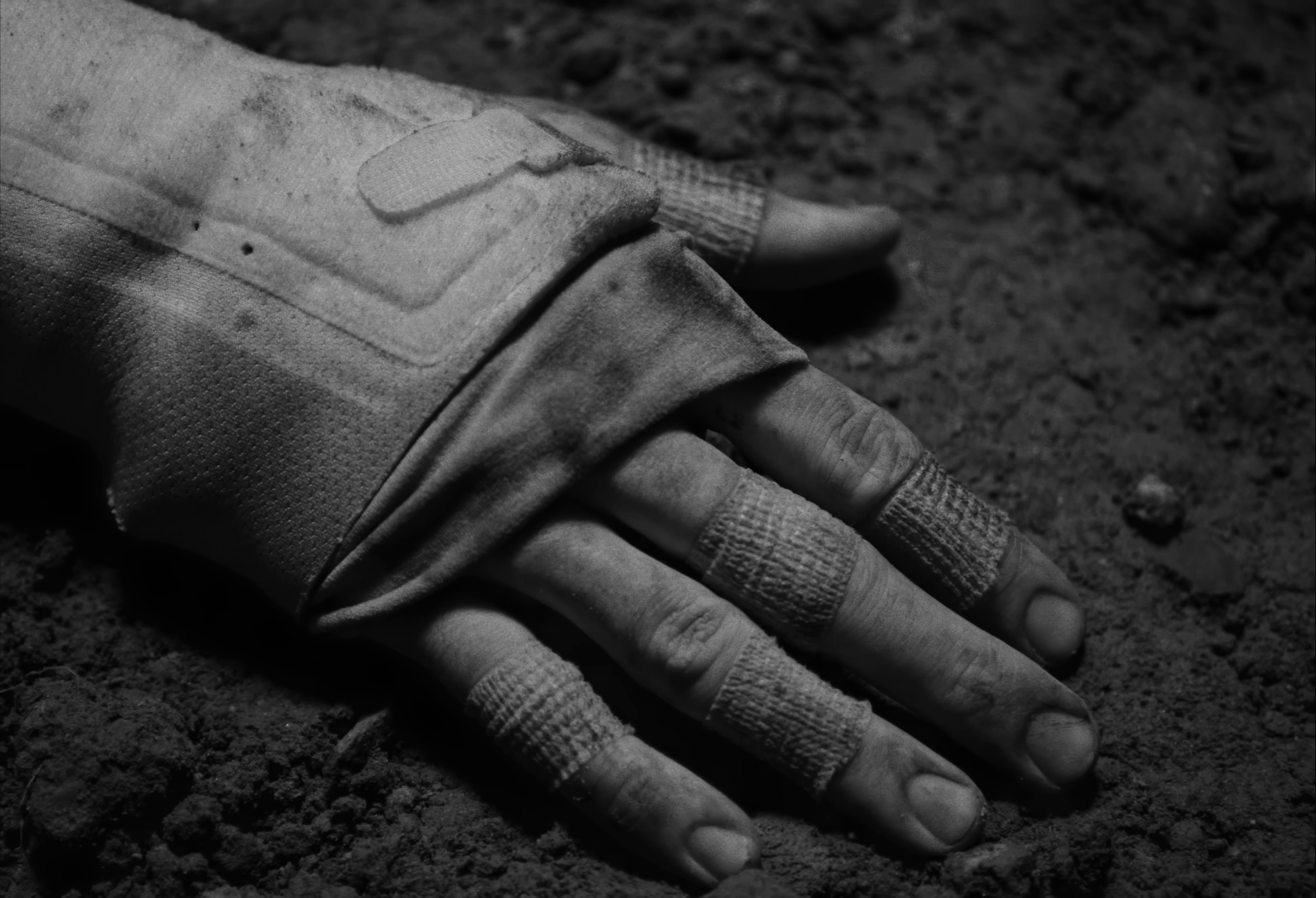 Open Fields (2025) —  shot,  lighting