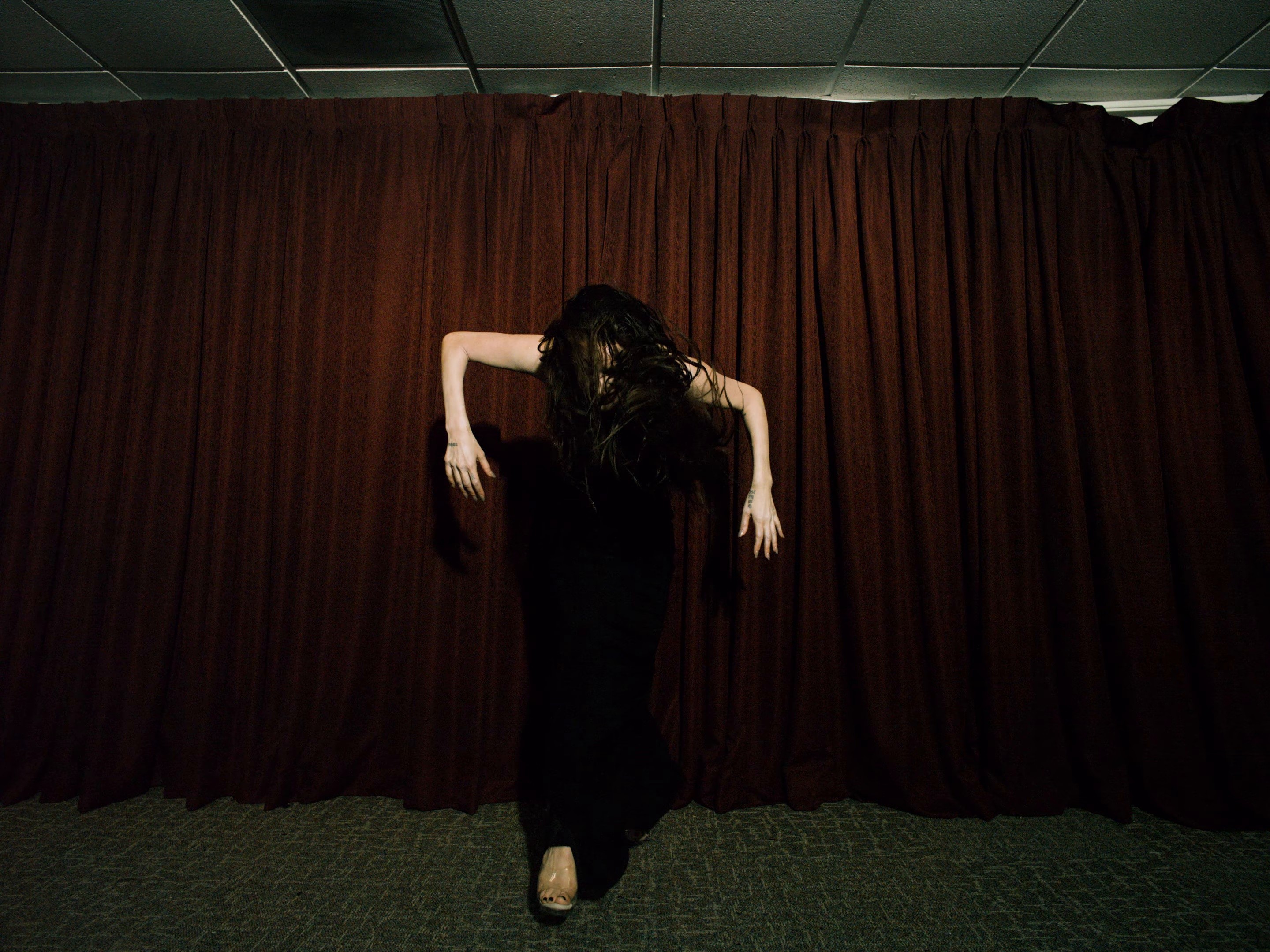 Piano and Great Danes (2025) —  shot,  lighting