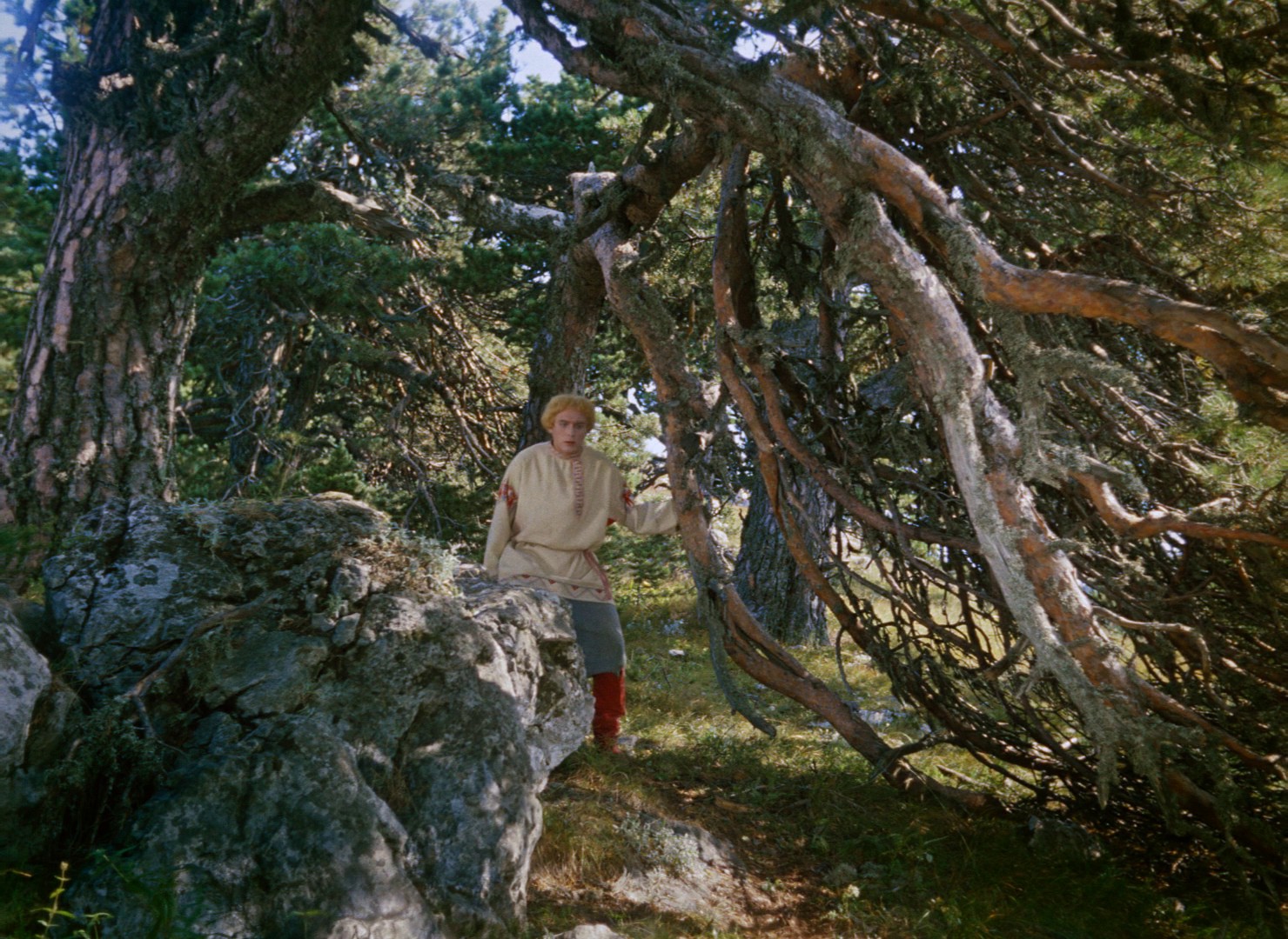 Frosty (1965) —  shot,  lighting