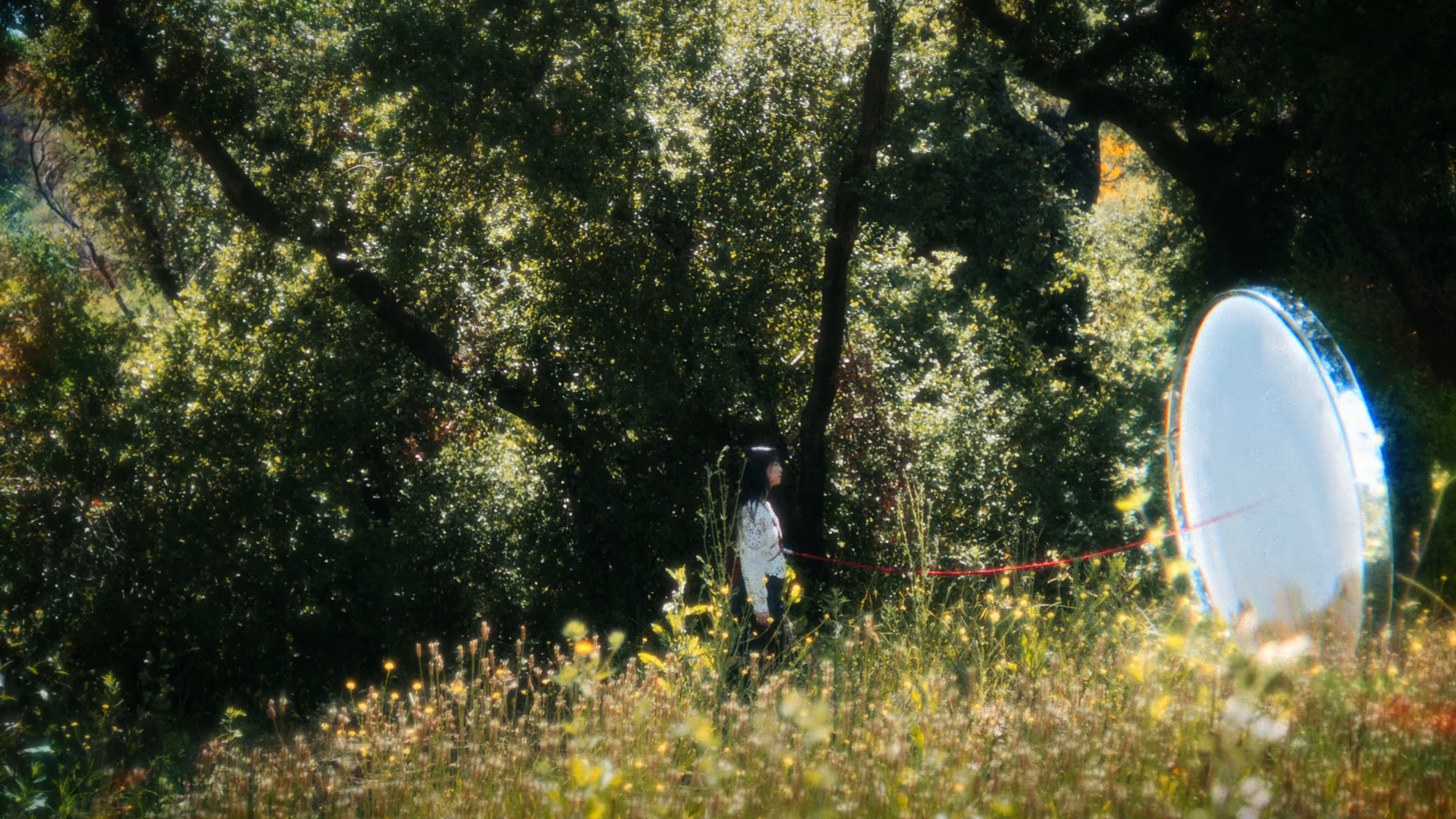 Last Time We Never Meet Again (2024) —  shot,  lighting