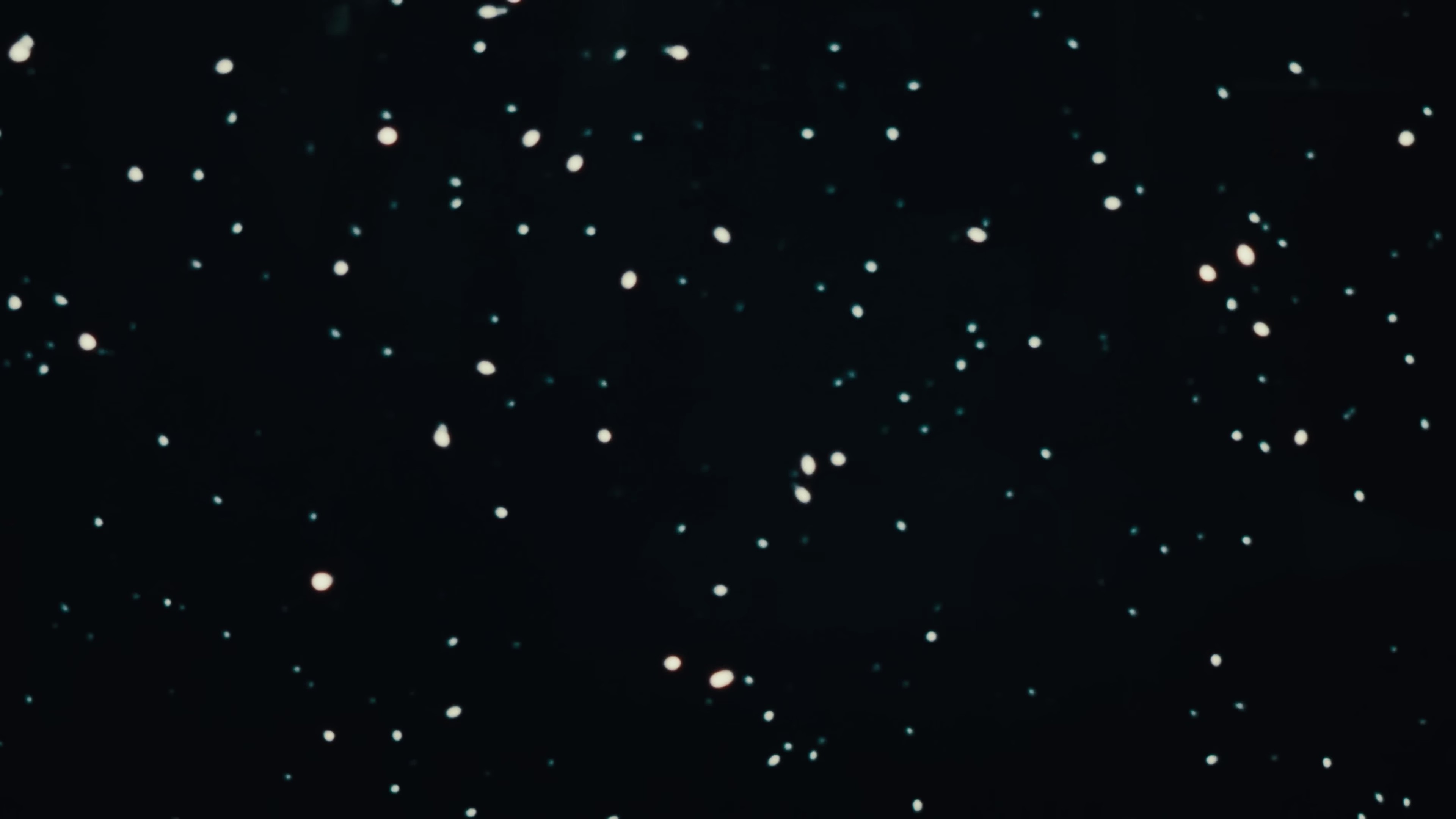 Attention (2023) —  shot,  lighting