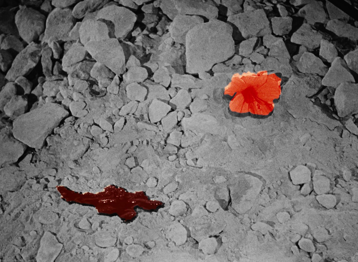 Testament of Orpheus (1960) —  shot,  lighting