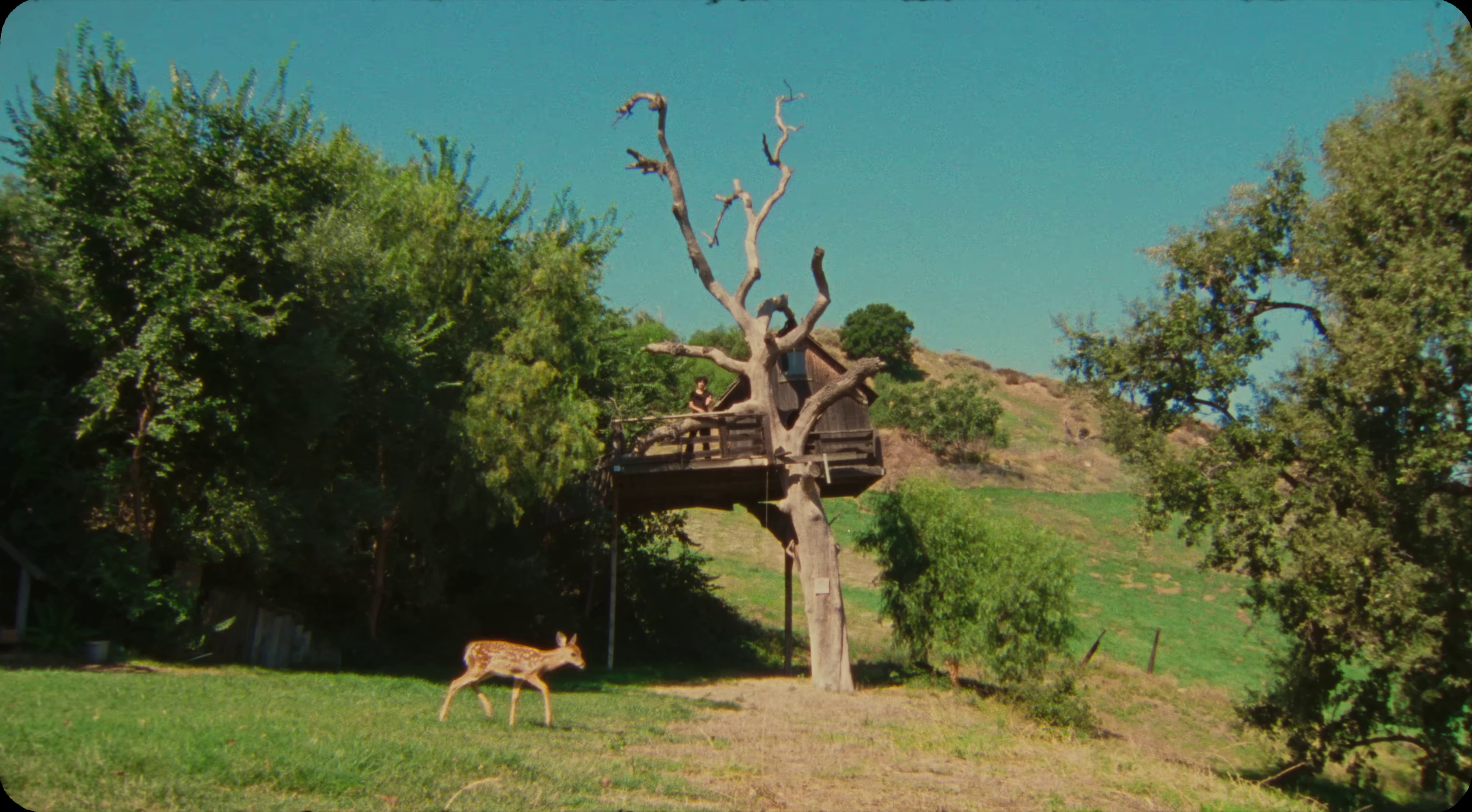 kickstand (2023) —  shot,  lighting