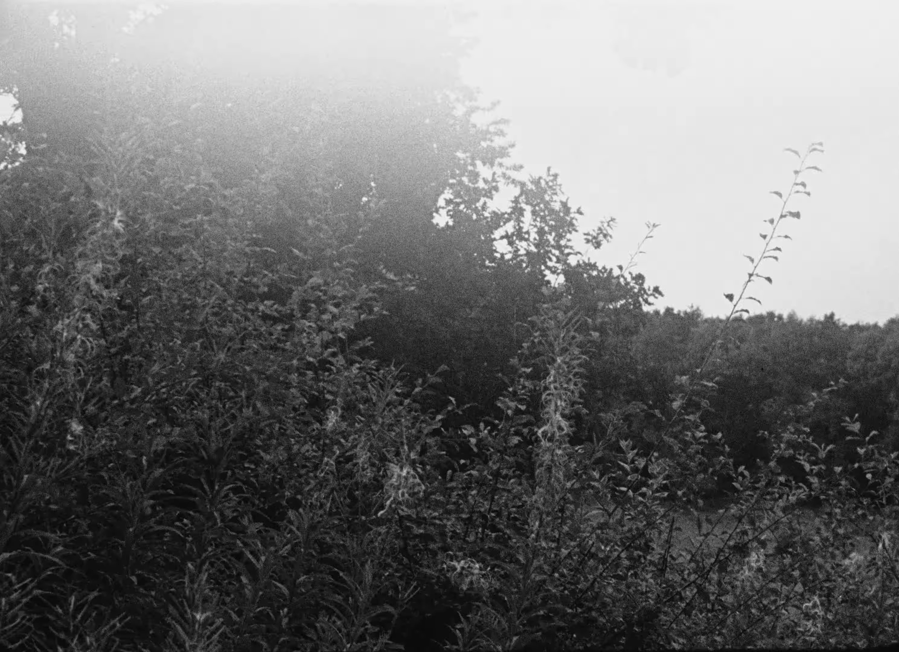 Murder, Murder! (2025) —  shot,  lighting