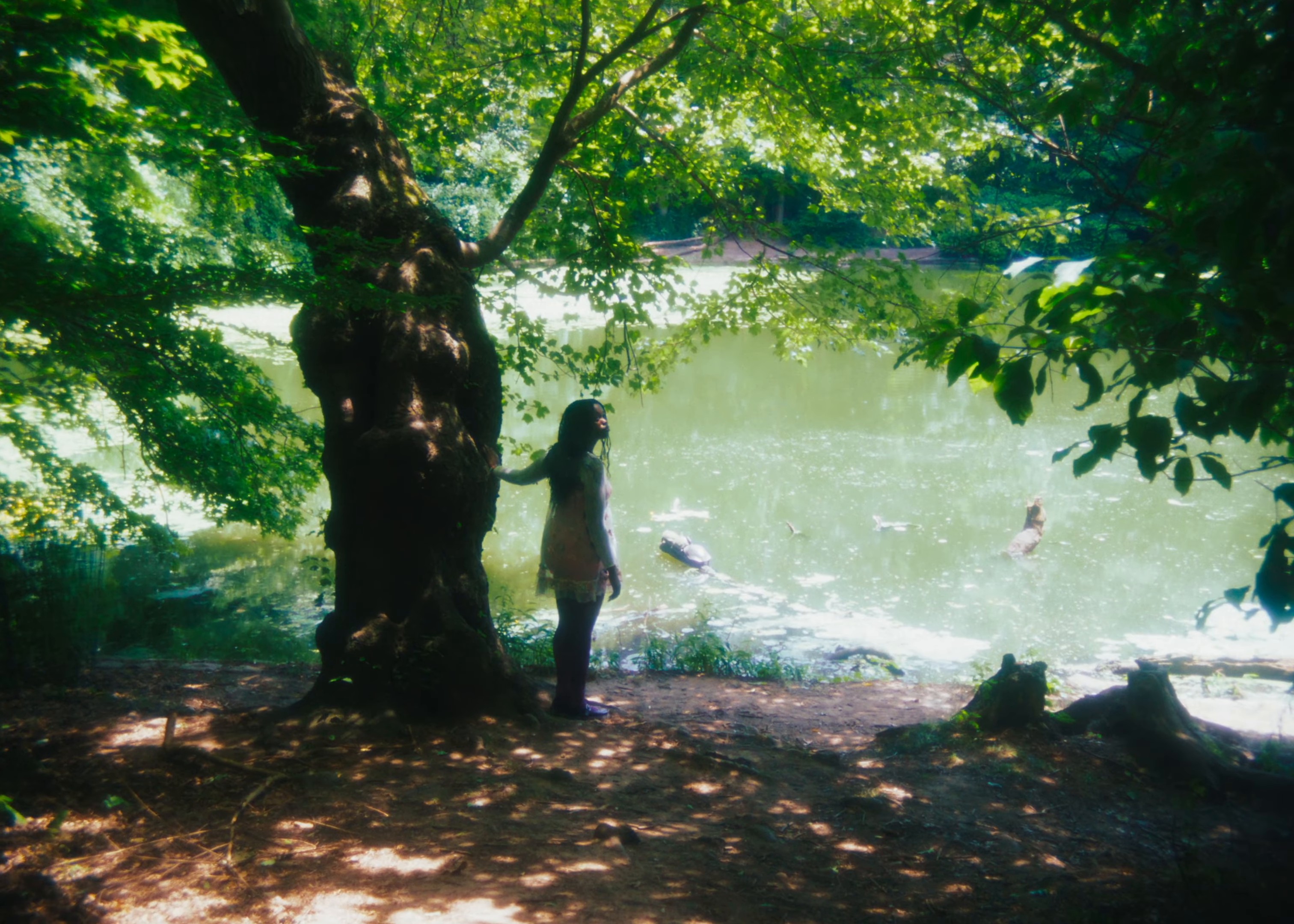 Levels (2024) —  shot,  lighting