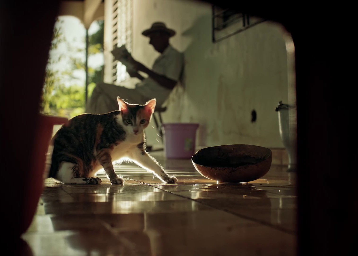 Canal de Panamá  Ruta 1   Versión 60seg (2024) —  shot,  lighting
