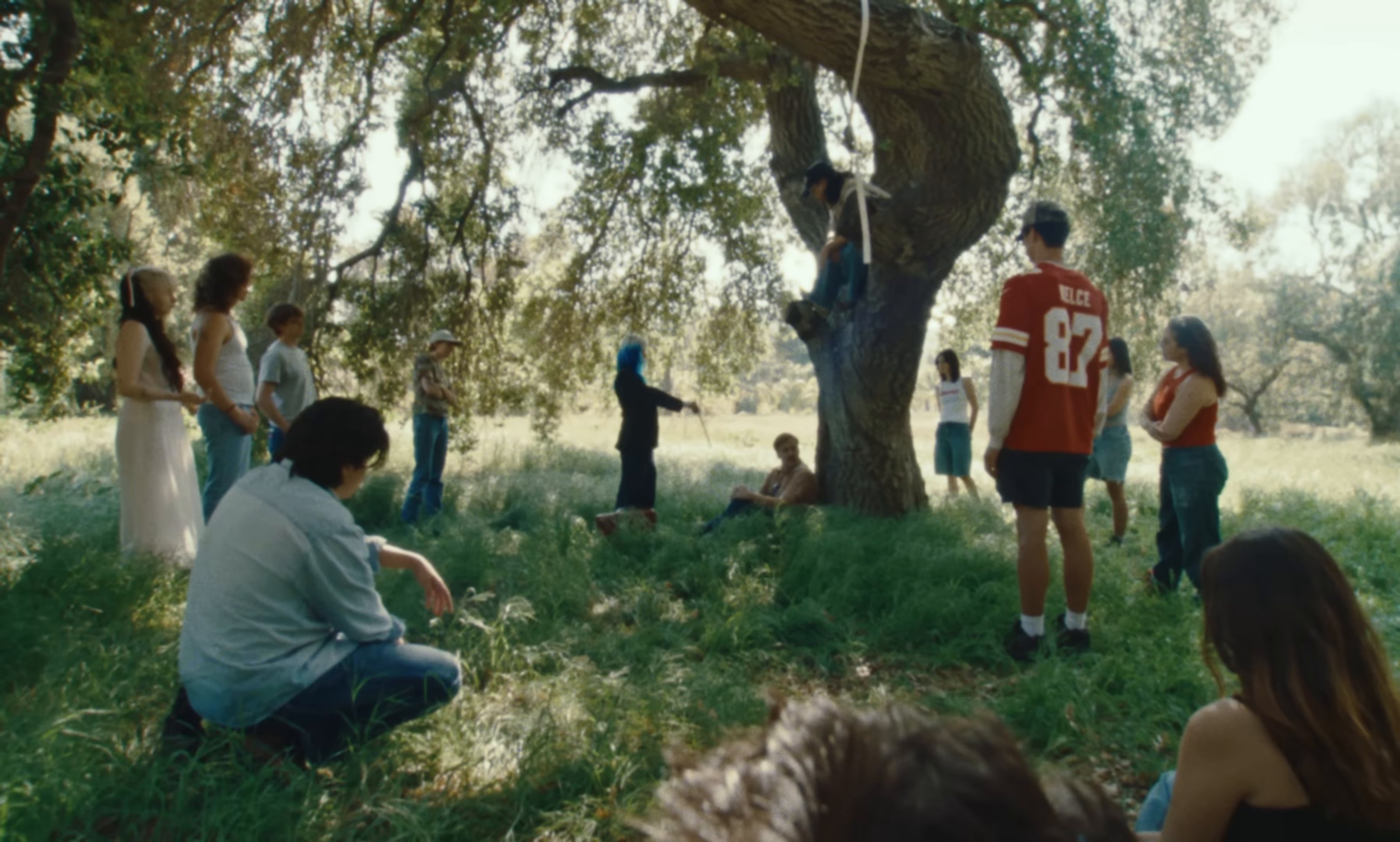 People v. Maryanne Sue (2025) —  shot,  lighting