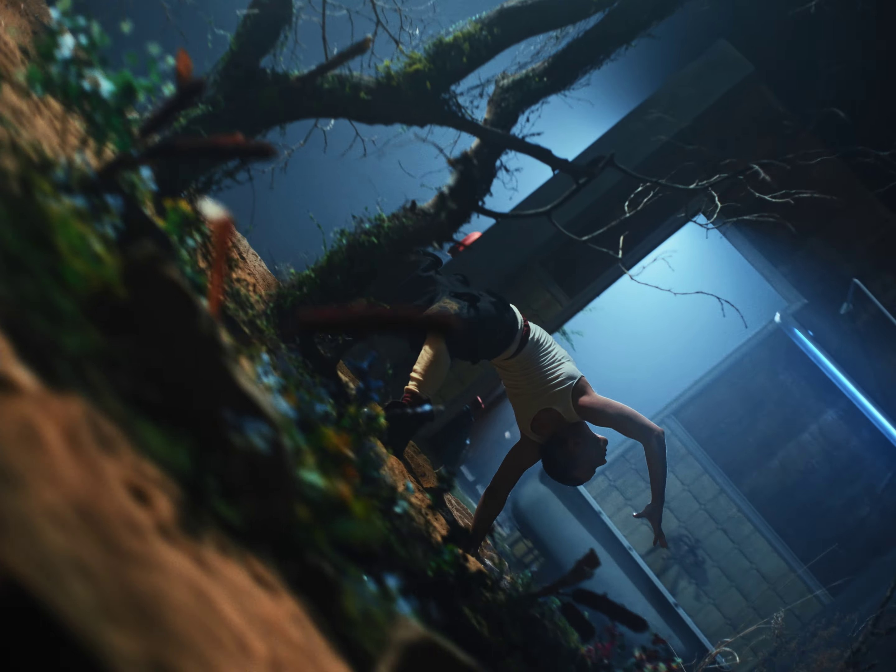 Dizzy (2024) —  shot,  lighting