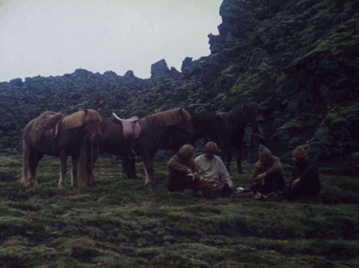 Sóley (1982) —  shot,  lighting