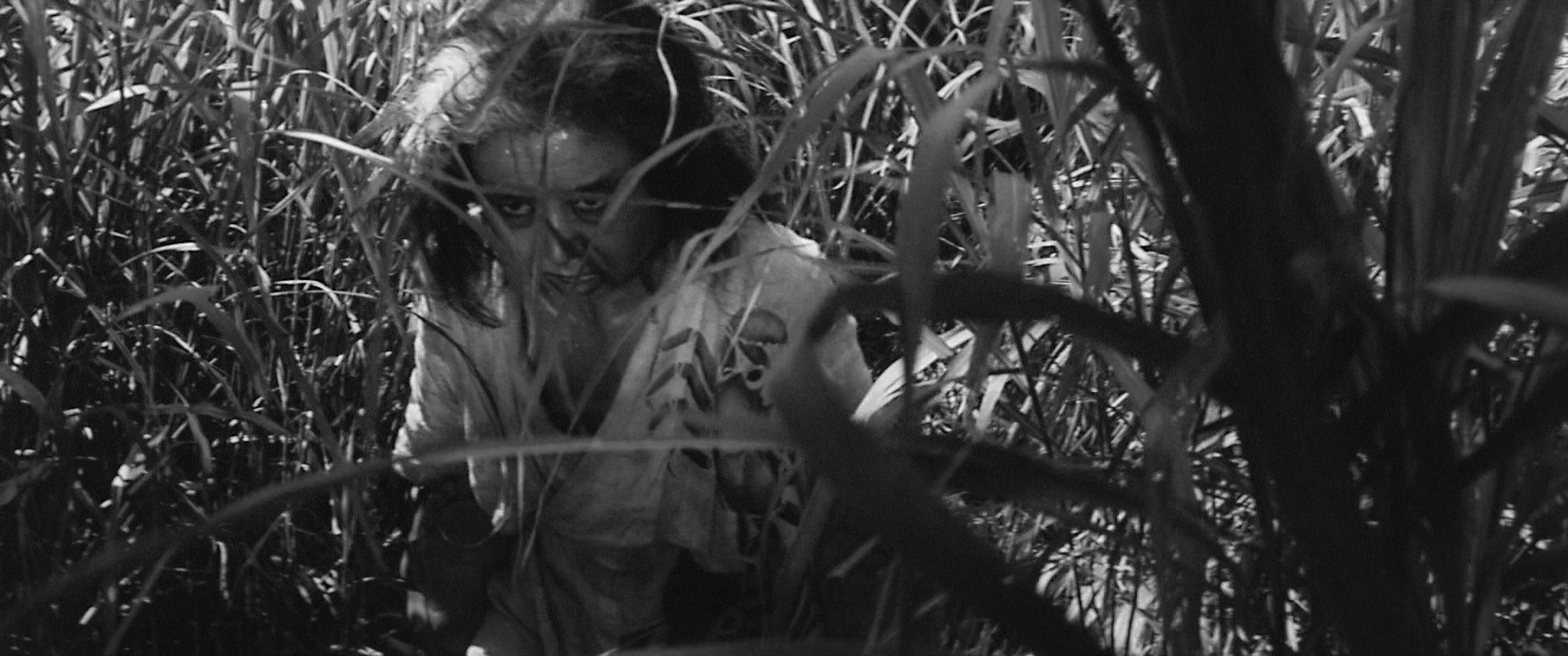 Onibaba (1964) —  shot,  lighting