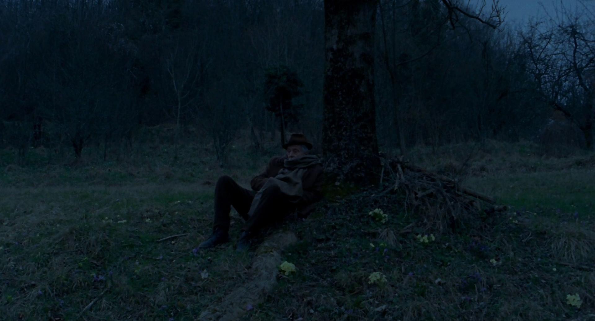 Stories from the Chestnut Woods (2019) —  shot,  lighting