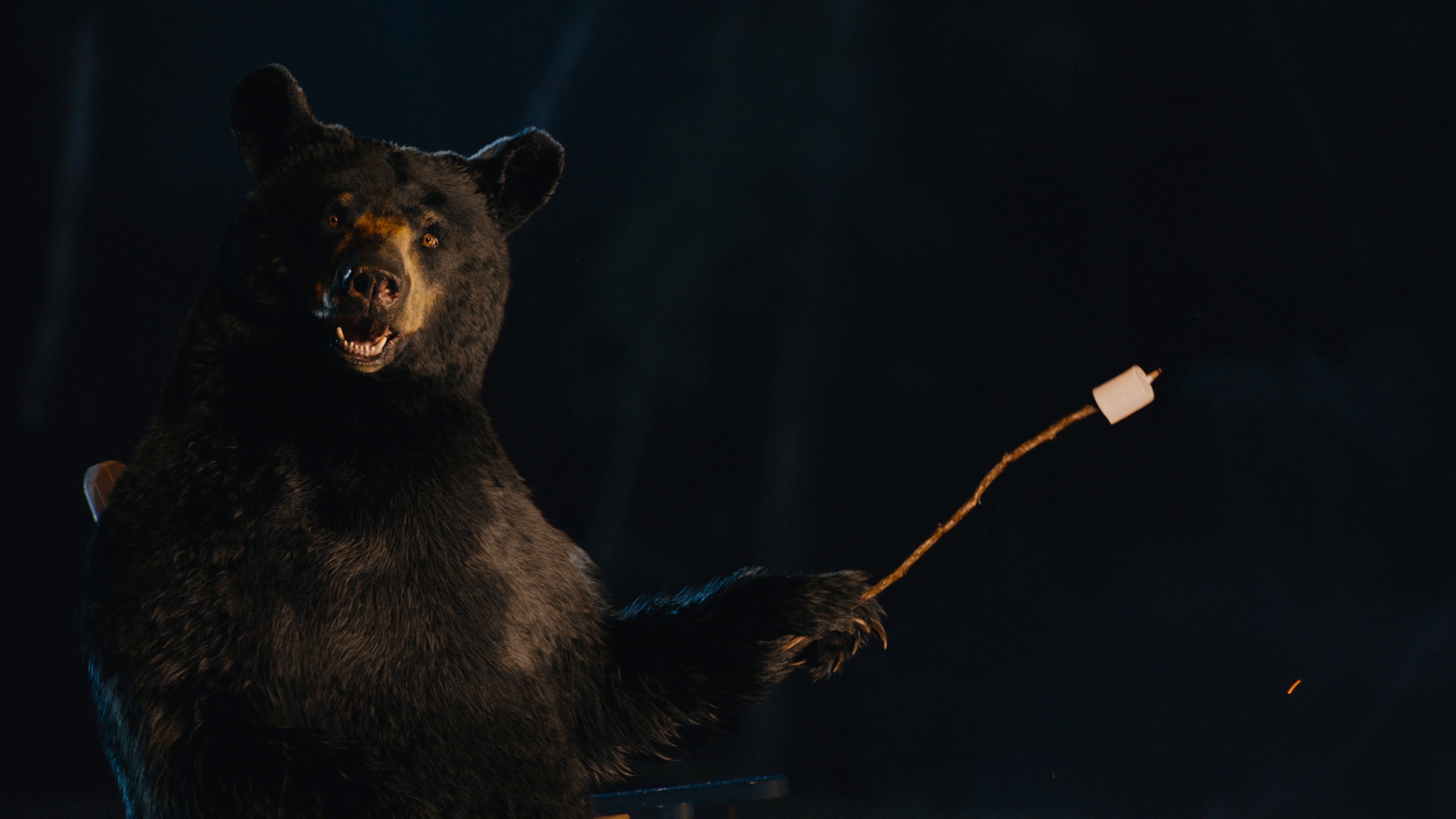 It’s Only Natural to Visit Sevierville - 30 sec Hero (2025) —  shot,  lighting