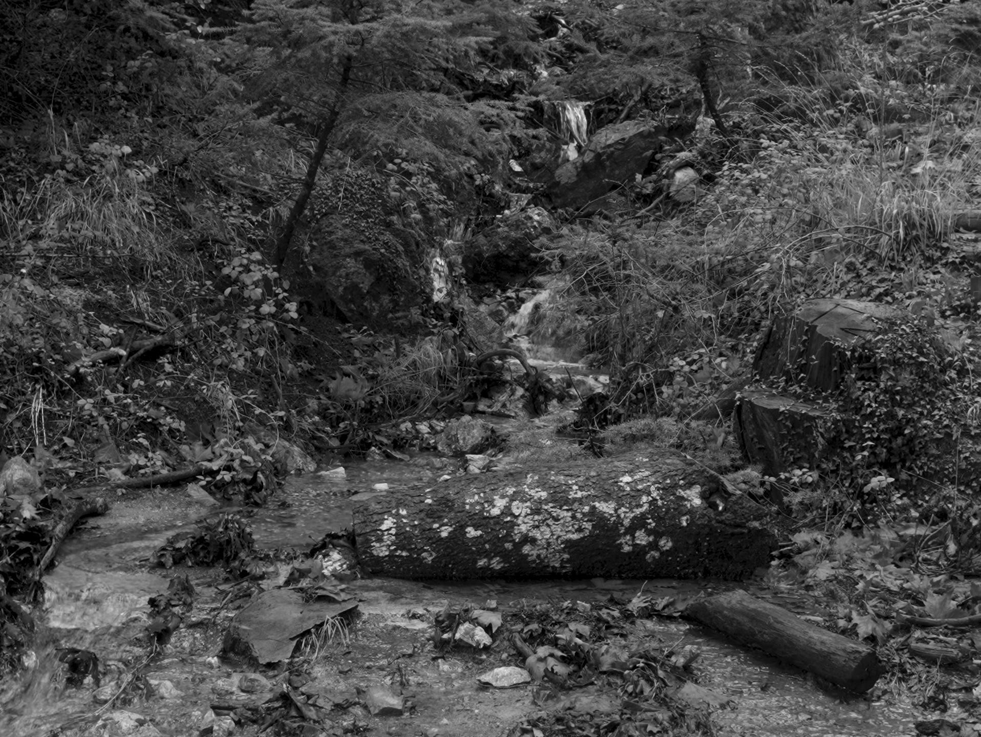 EREBOS (2026) —  shot,  lighting