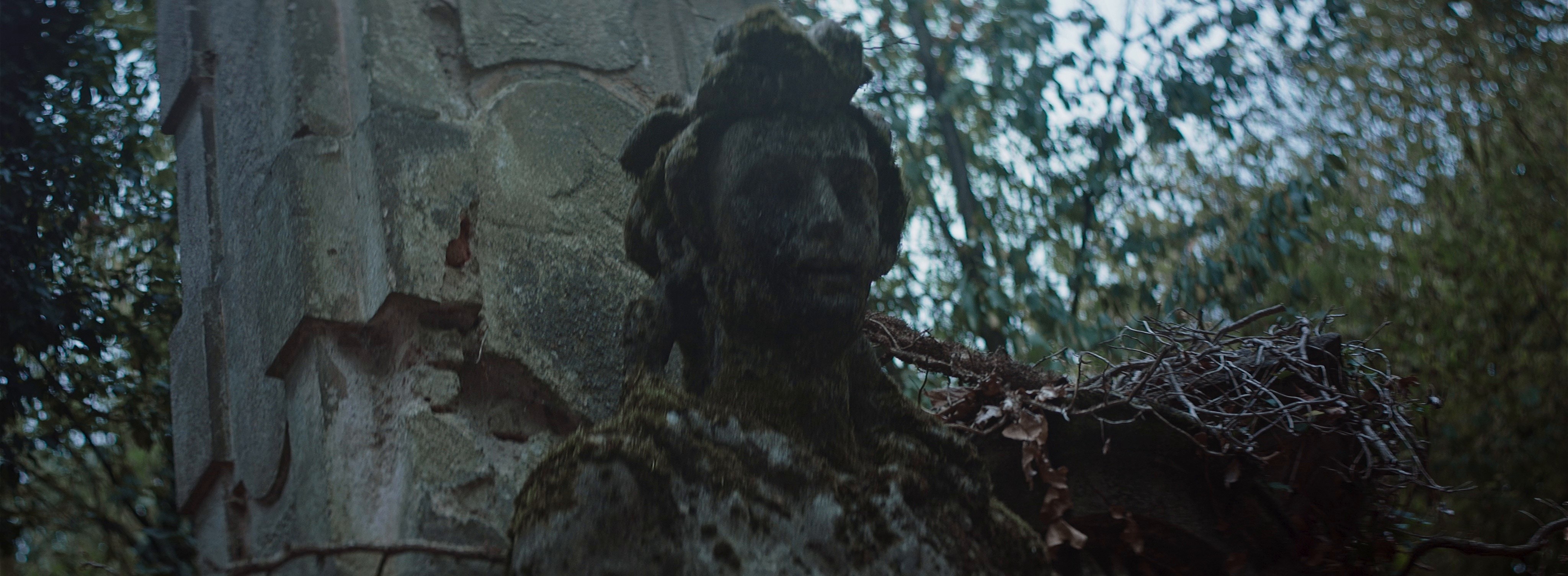 KIKO (2017) —  shot,  lighting