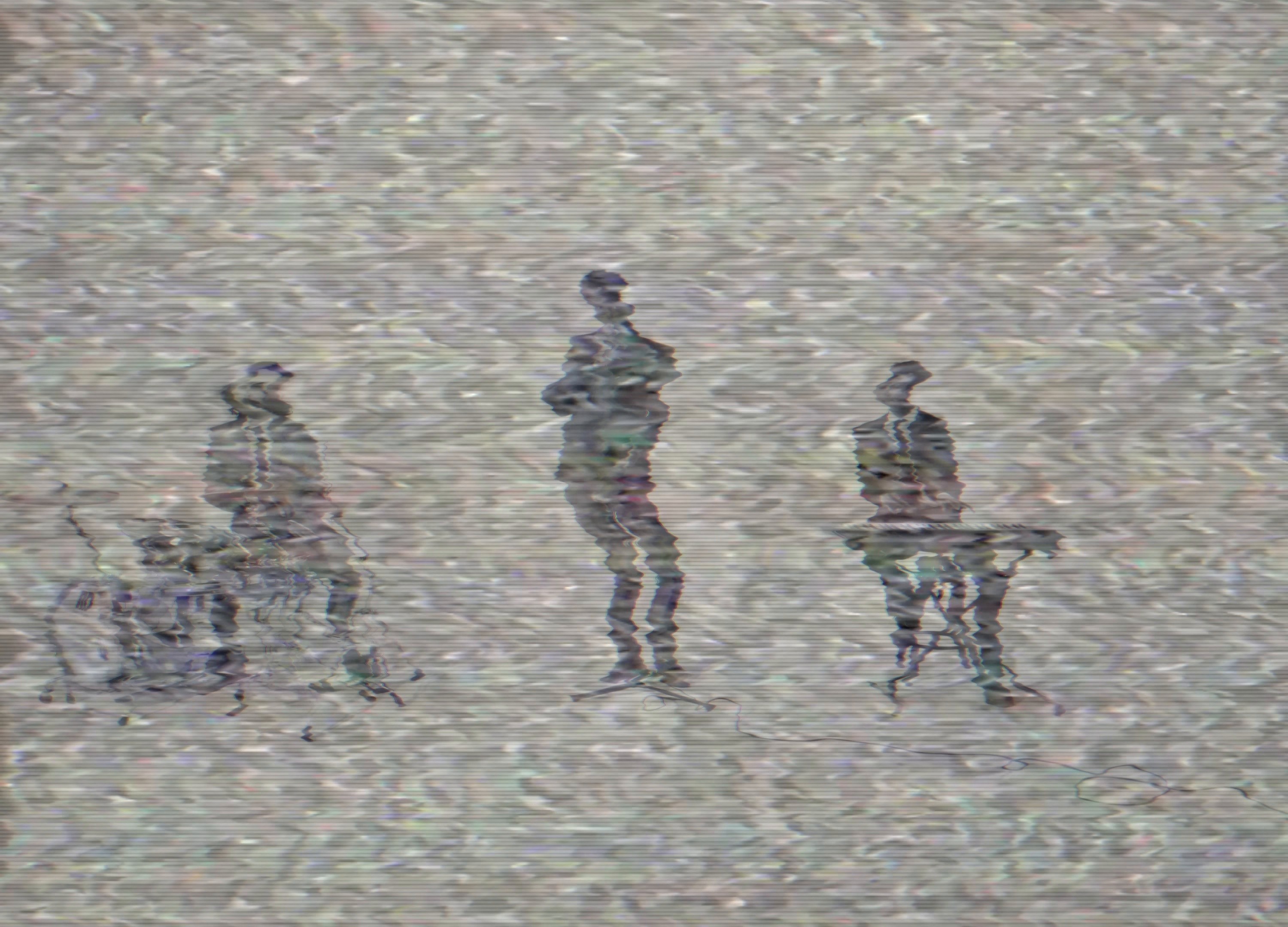 POP SONG (2025) —  shot,  lighting