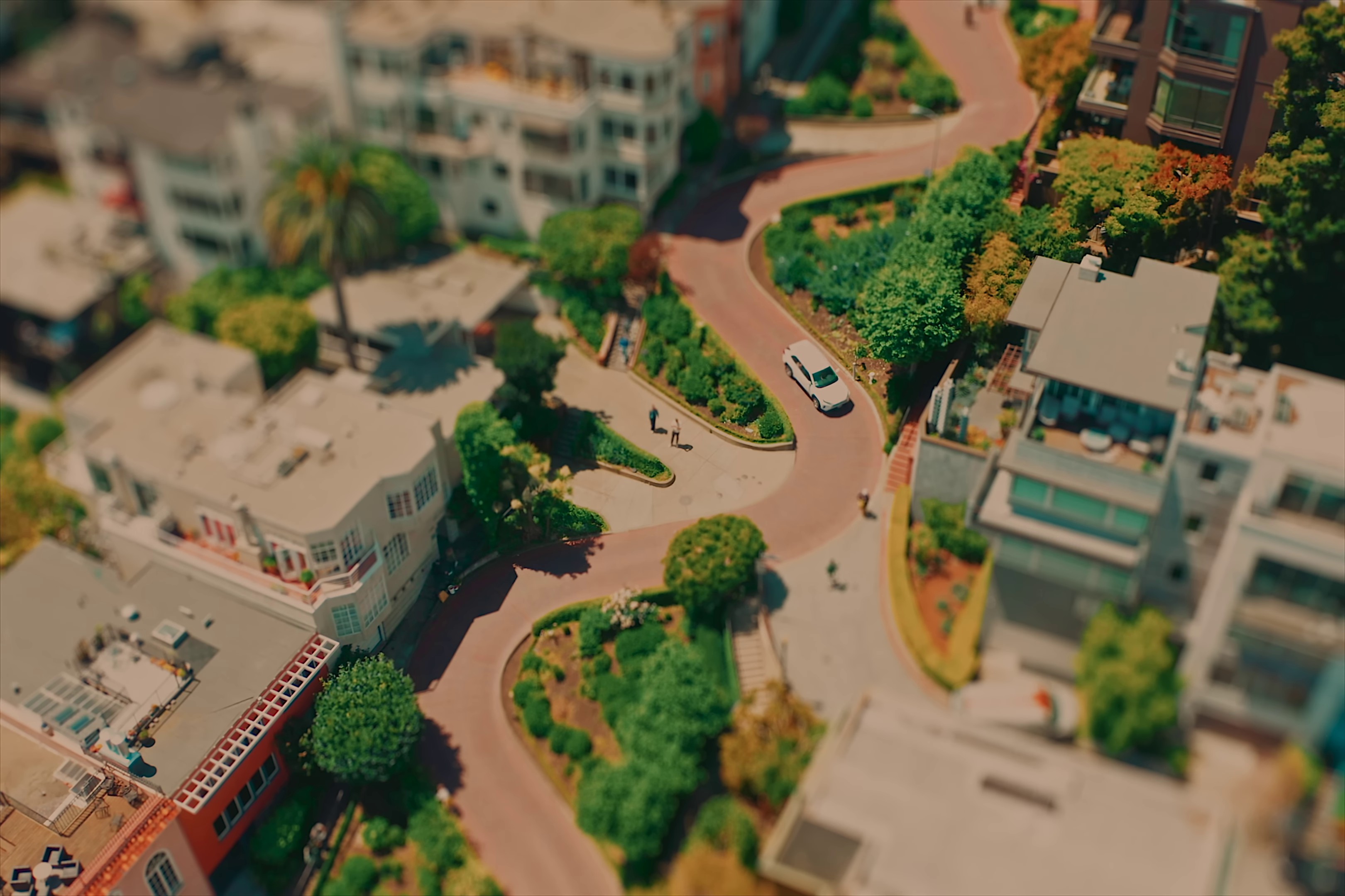 Take Carra Me (2024) —  shot,  lighting