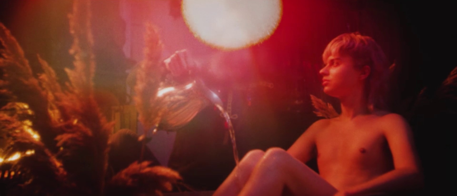 Wilde (2021) —  shot,  lighting