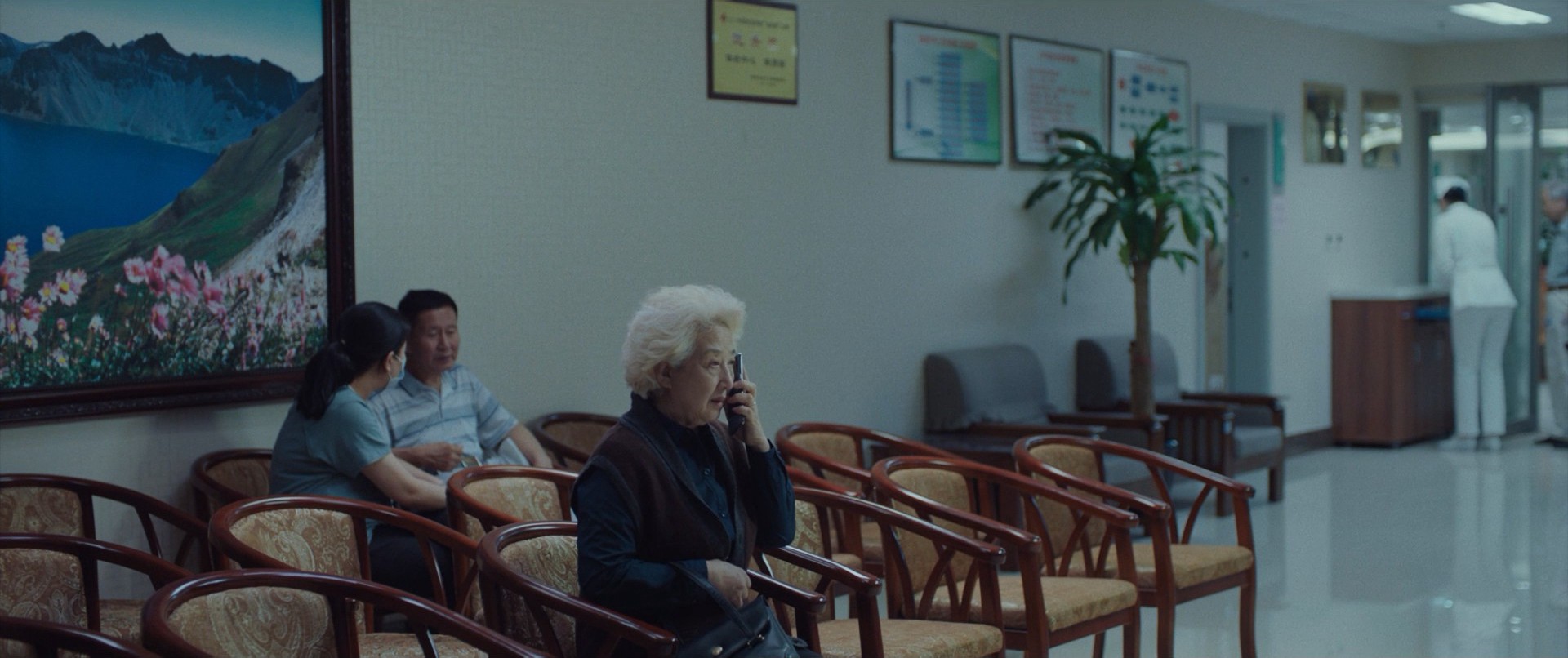 The Farewell (2019) —  shot,  lighting