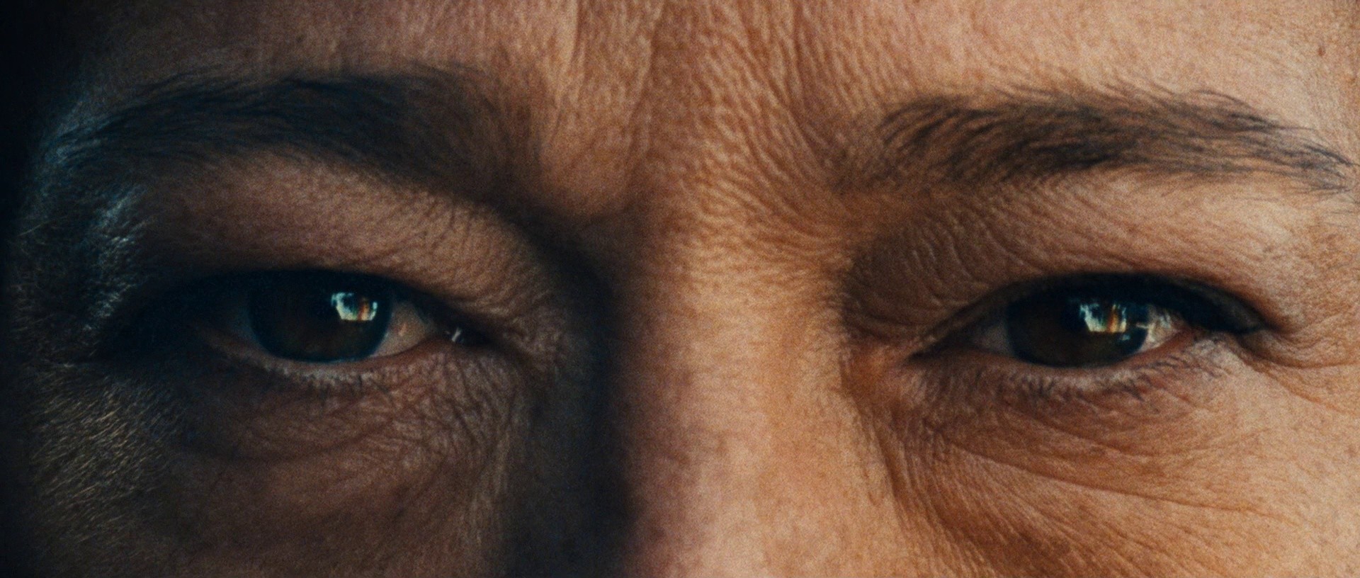 Let the Corpses Tan (2018) —  shot,  lighting