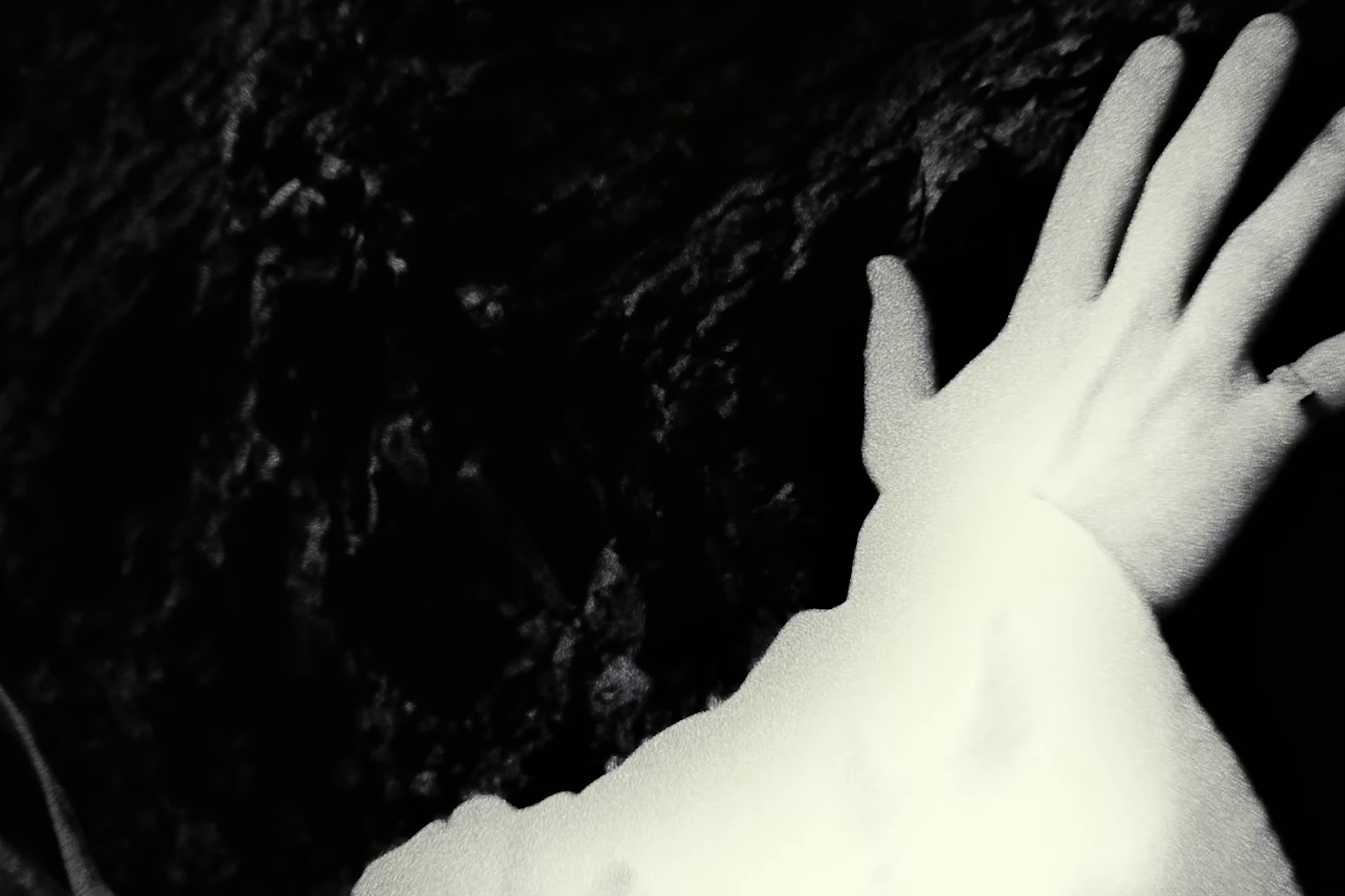 Hounds (2022) —  shot,  lighting