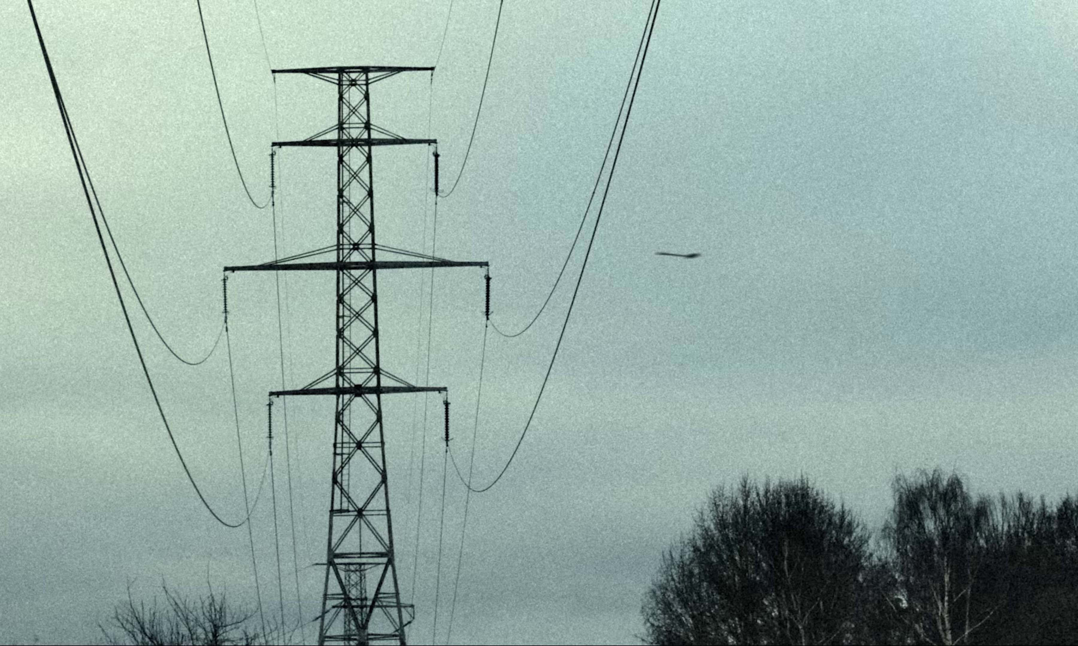 Bogus Operandi (2023) —  shot,  lighting