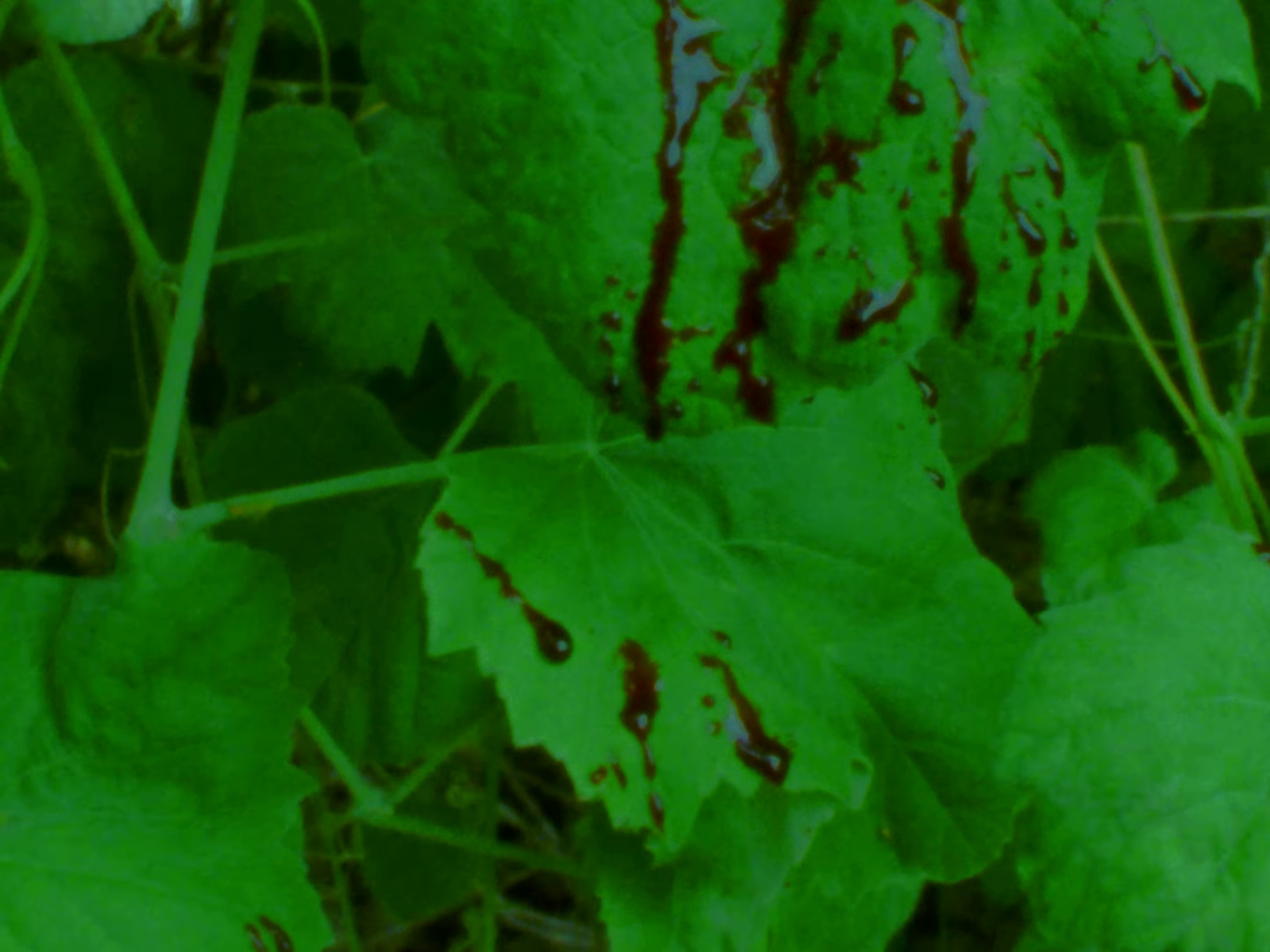 Flirt With Death (2023) —  shot,  lighting