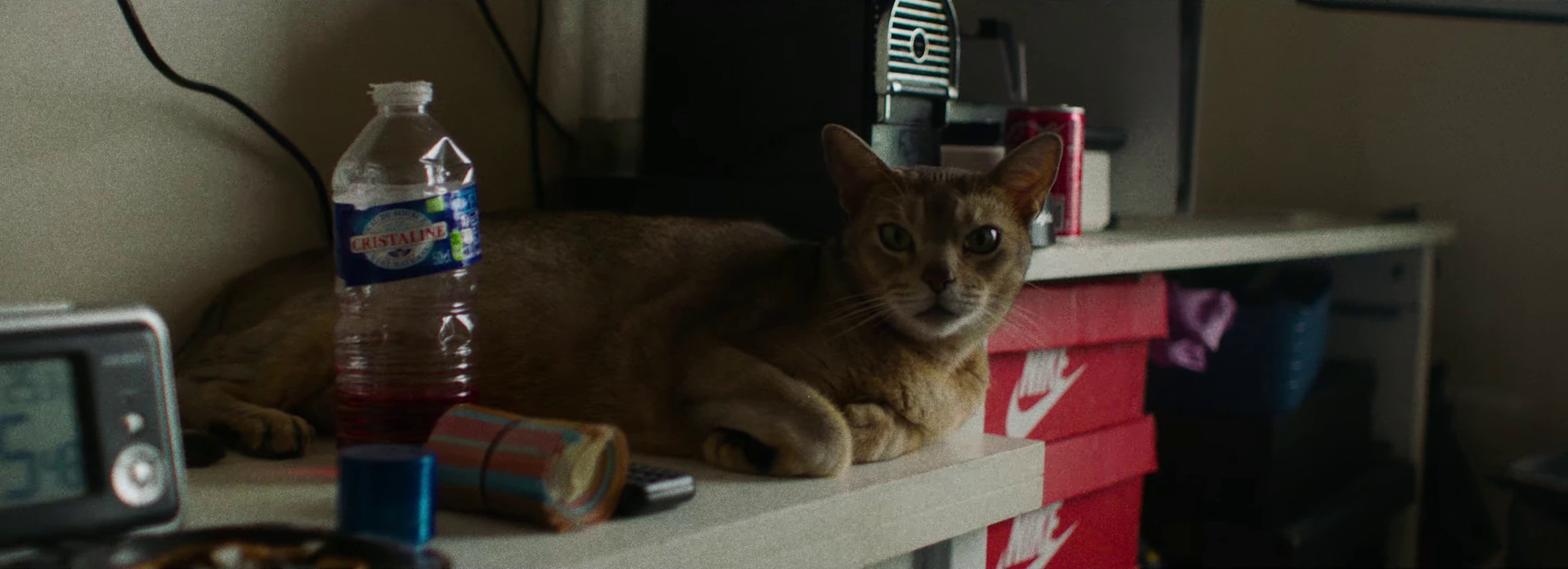 Journée (2023) —  shot,  lighting