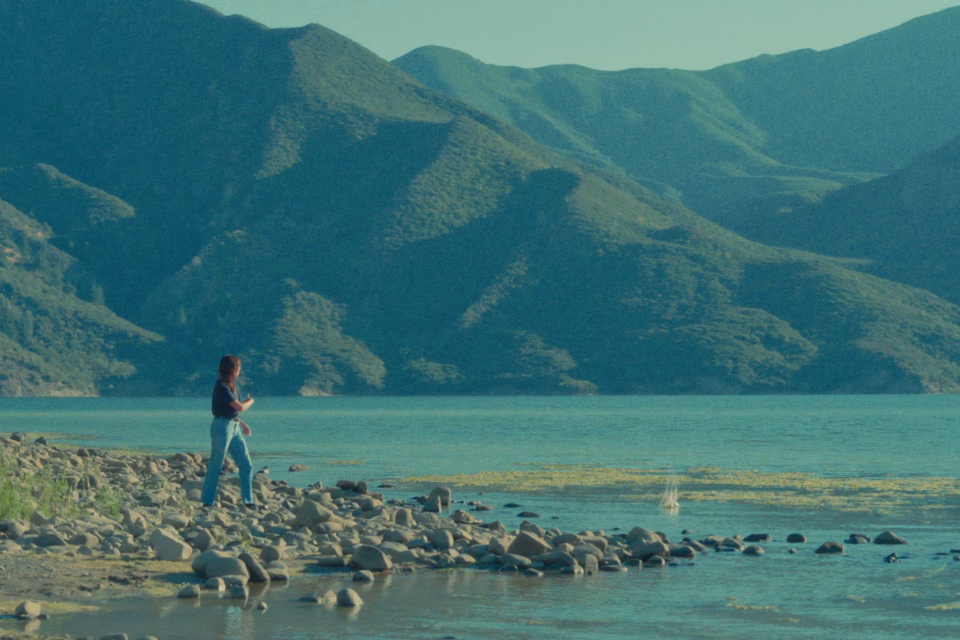 bleed you (2024) —  shot,  lighting