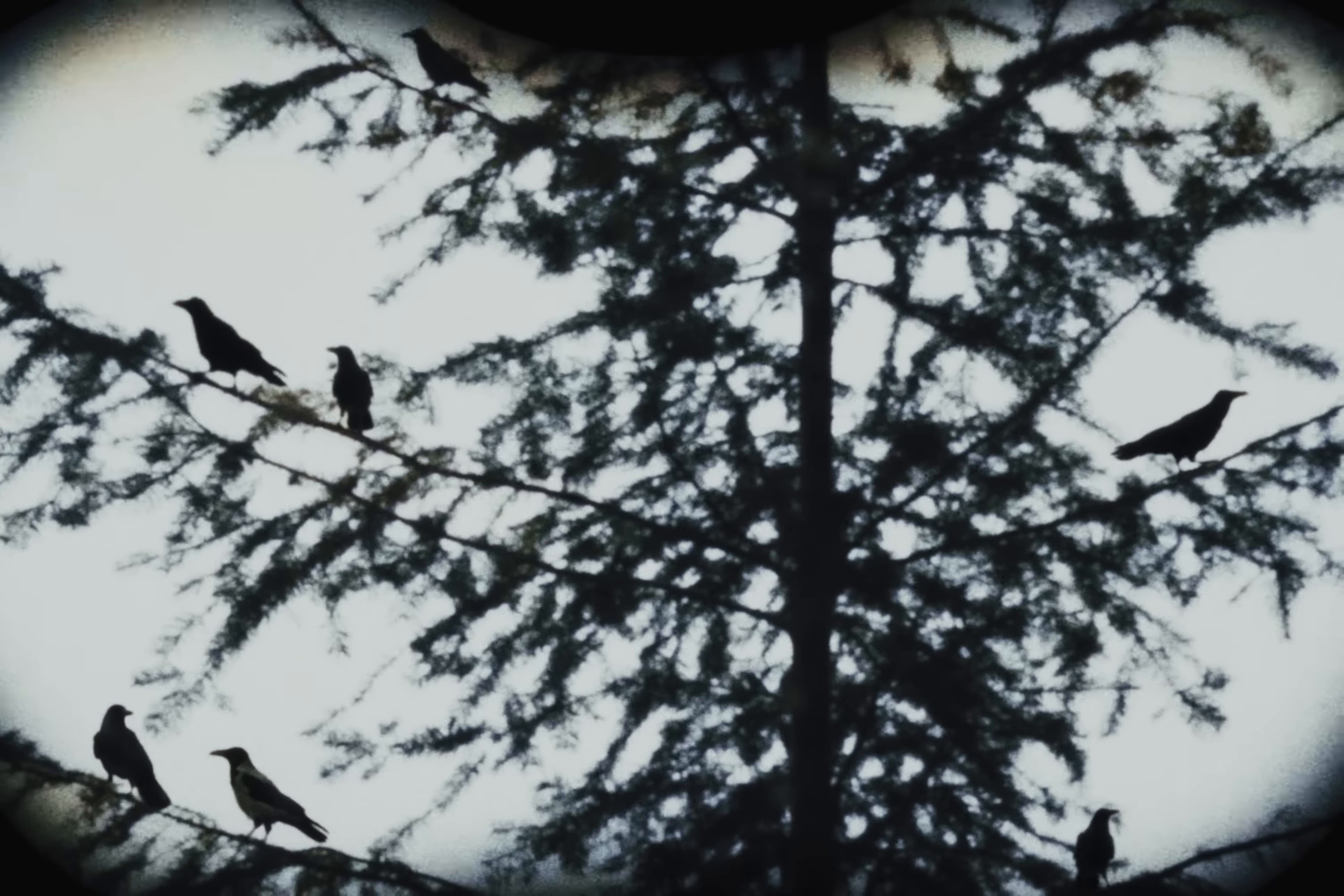 dope (2025) —  shot,  lighting