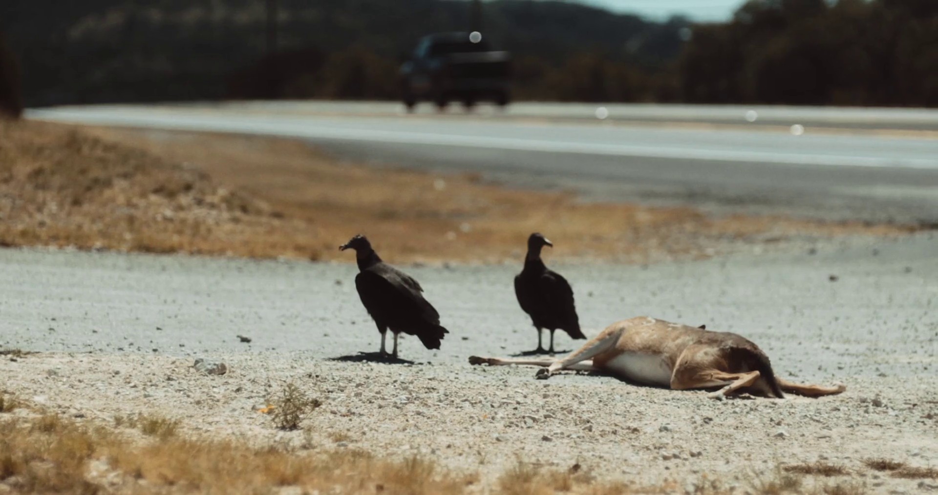 Left Hand Free (2014) —  shot,  lighting