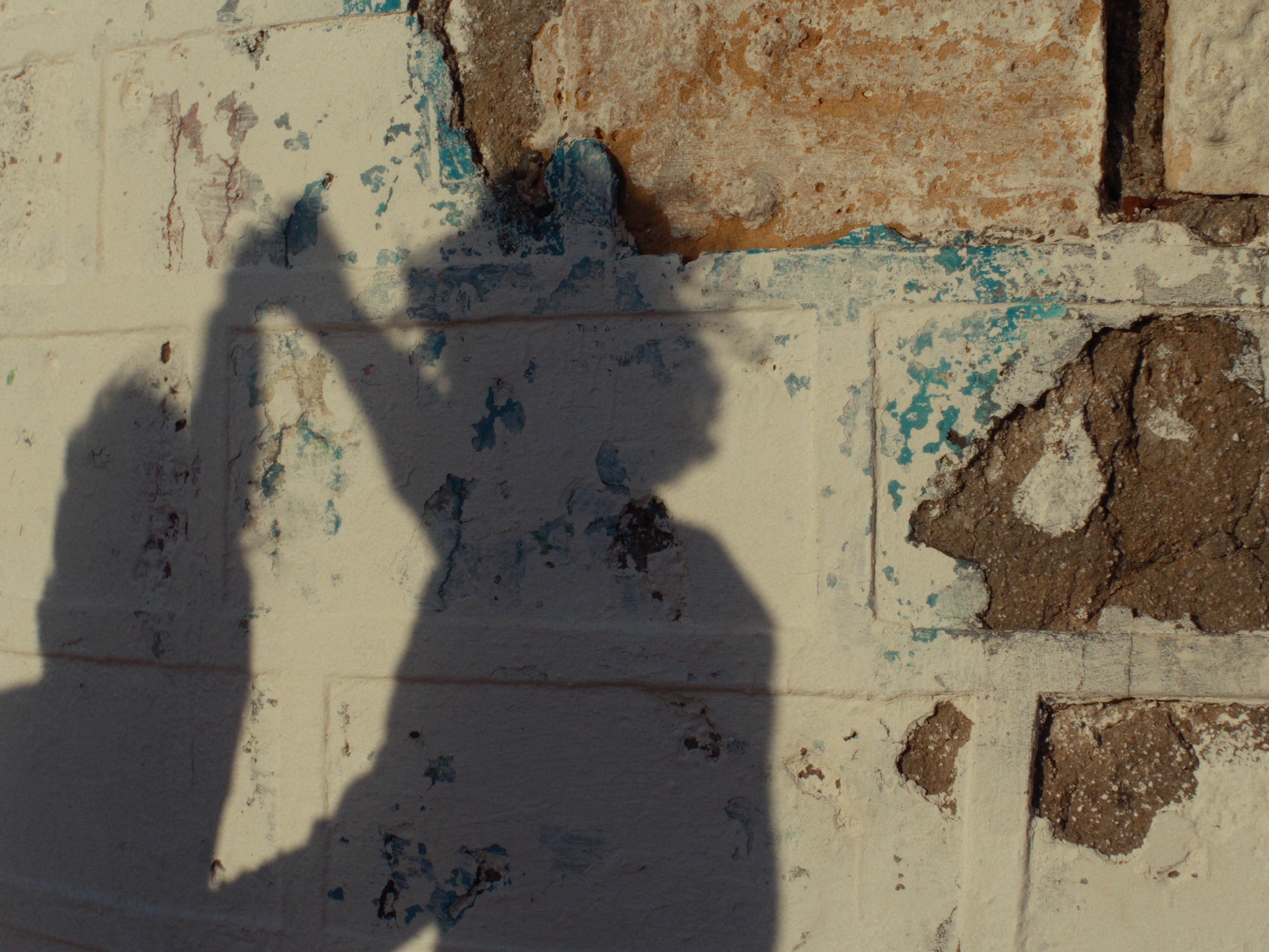 The Subtle Things - Alfa Beer (2024) —  shot,  lighting