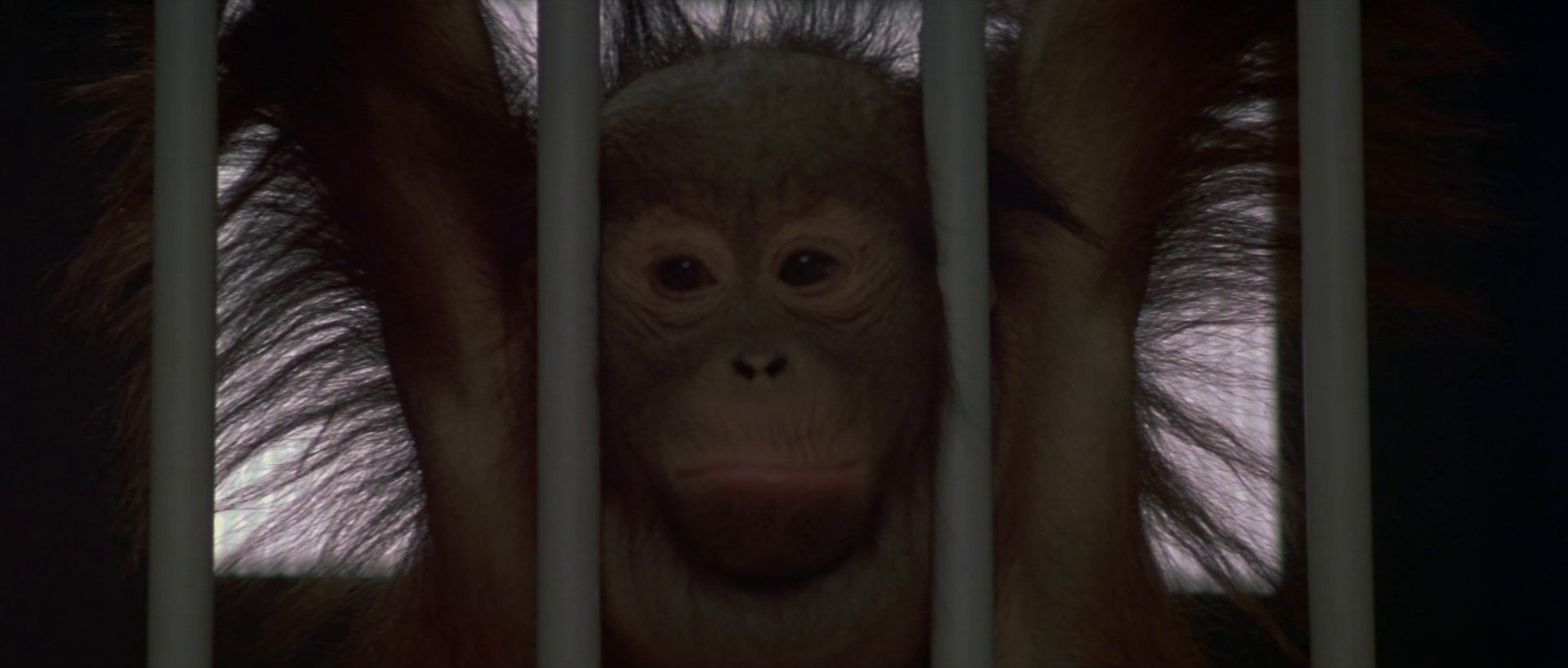 Planet of the Apes (2001) —  shot,  lighting
