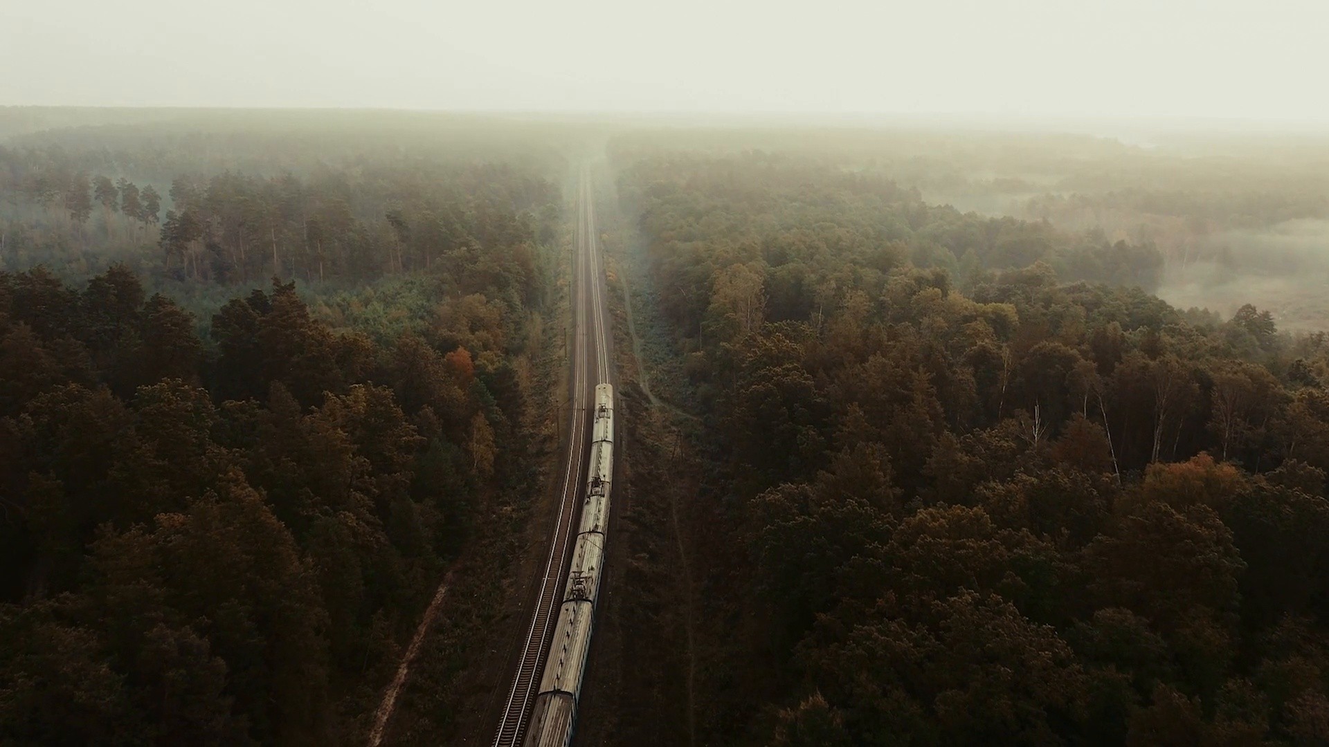 Ти Як - Провідник Крізь Складні Часи (Dir.cut) (2025) —  shot,  lighting