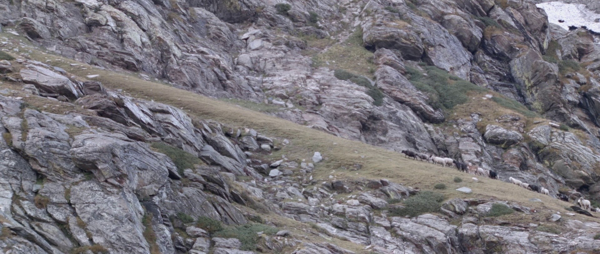 The Gold-Laden Sheep and the Sacred Mountain (2022) —  shot,  lighting