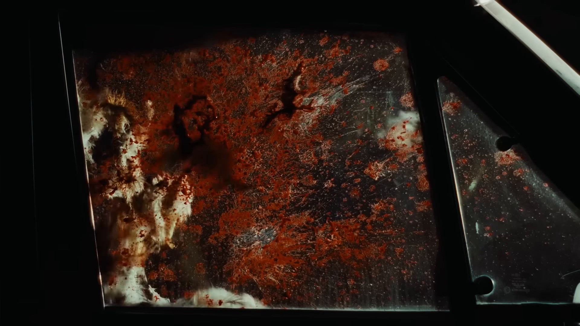 Laisse-moi tranquille (2024) —  shot,  lighting