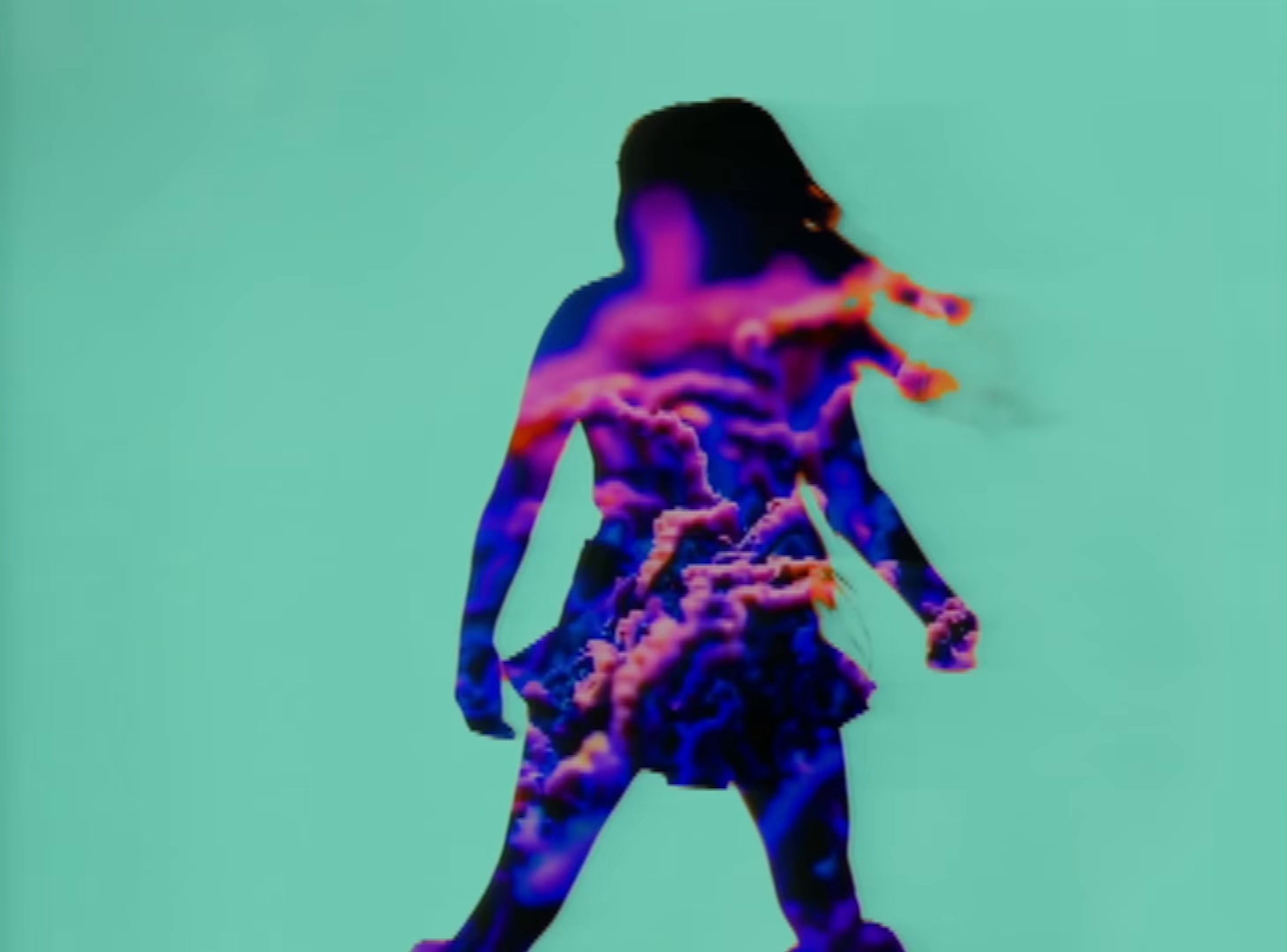 Animal (2024) —  shot,  lighting