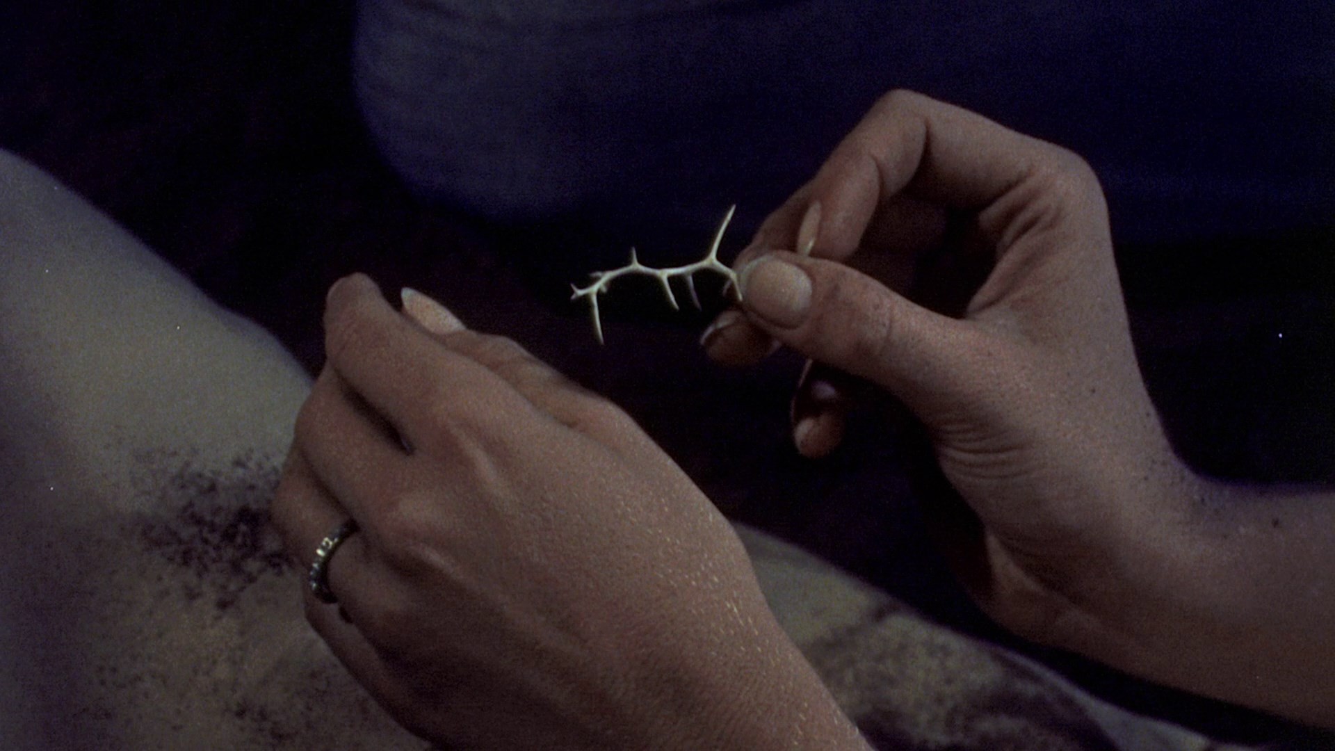 The Baited Trap (1959) —  shot,  lighting