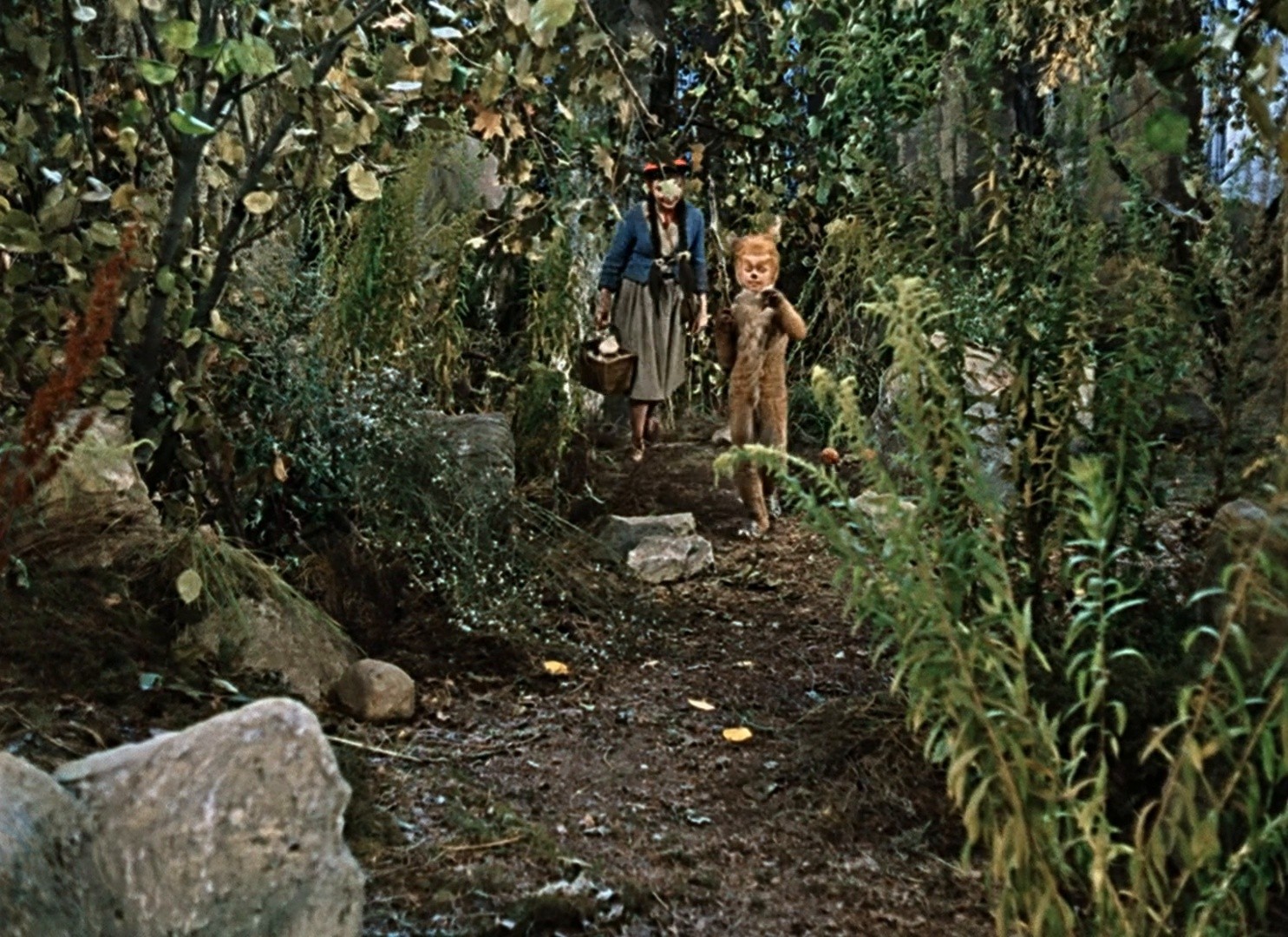 Little Red Riding-Hood (1962) —  shot,  lighting