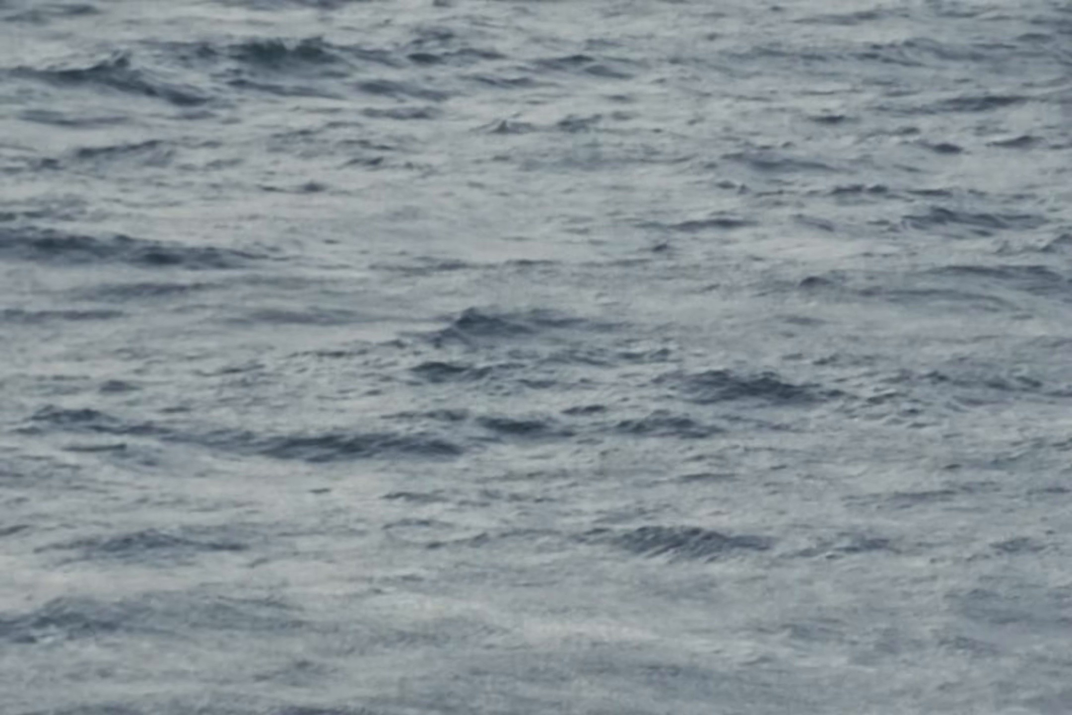 God's Kingdom (2025) —  shot,  lighting