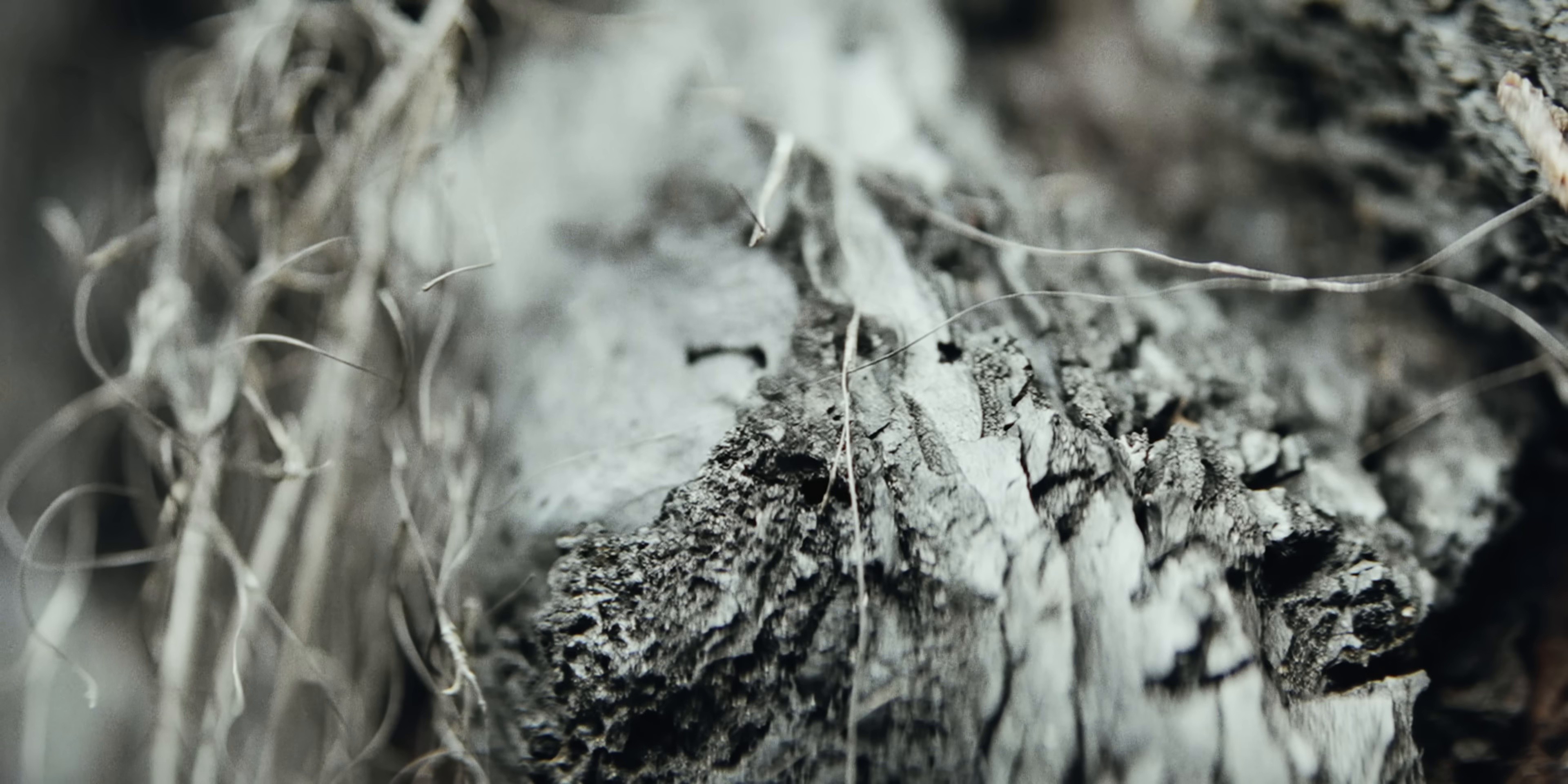 Sleeping (2025) —  shot,  lighting