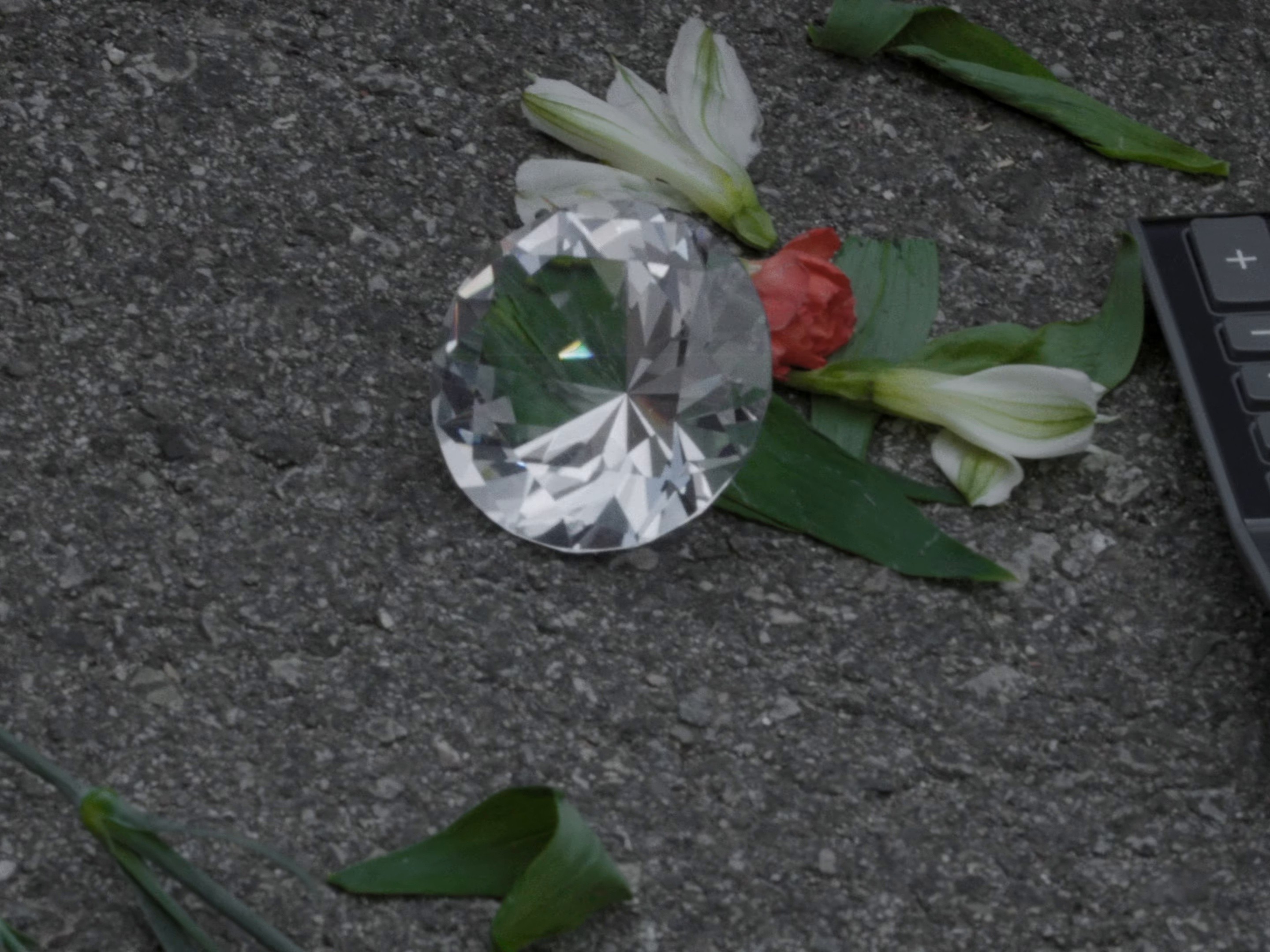 Paysexual (2025) —  shot,  lighting