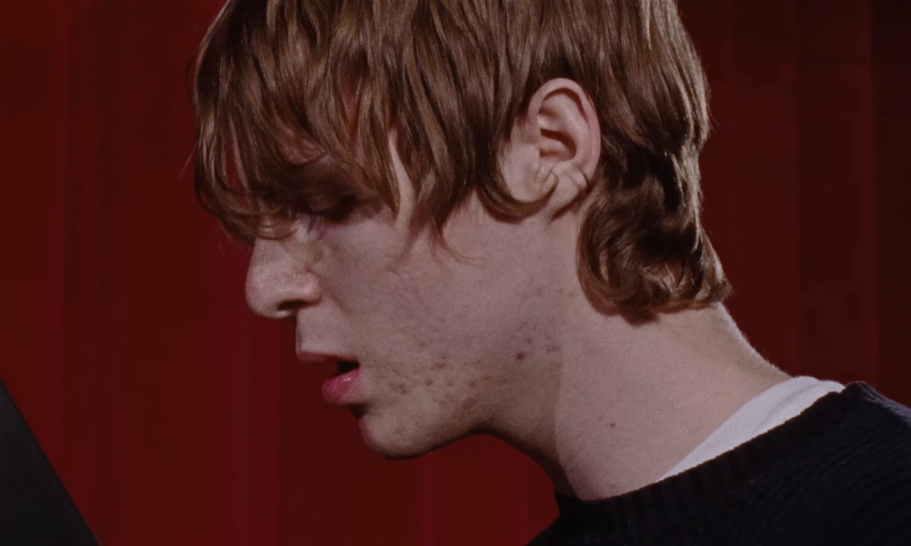 ELEPHANT IN THE ROOM (2025) —  shot,  lighting