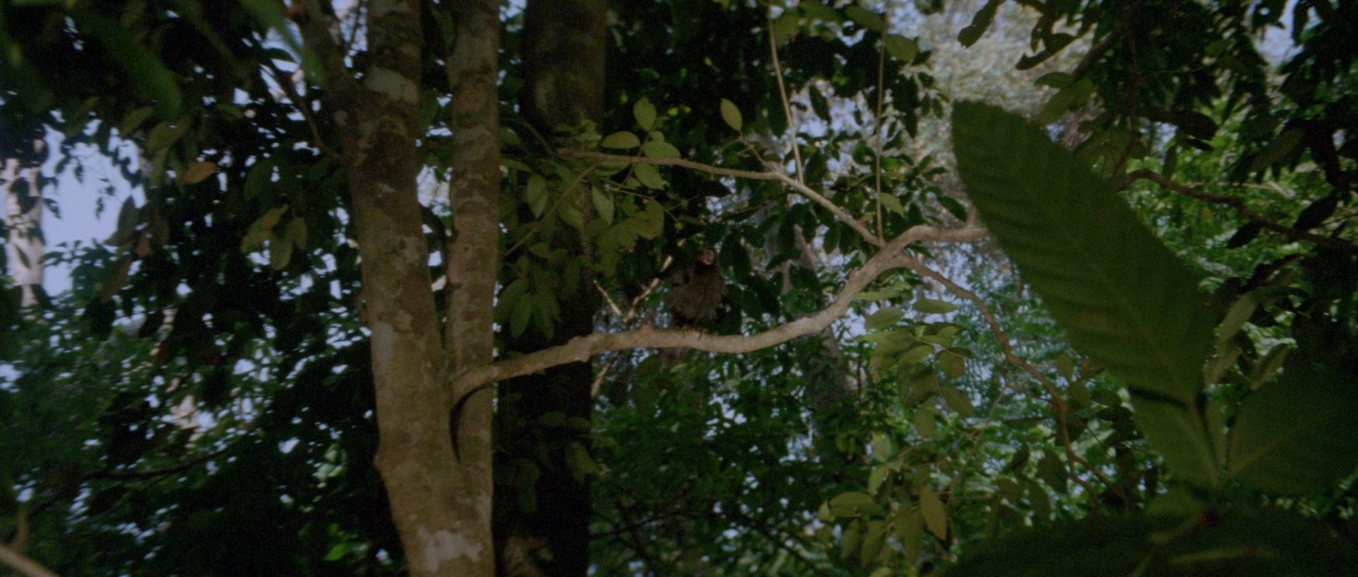 Santet (1988) —  shot,  lighting