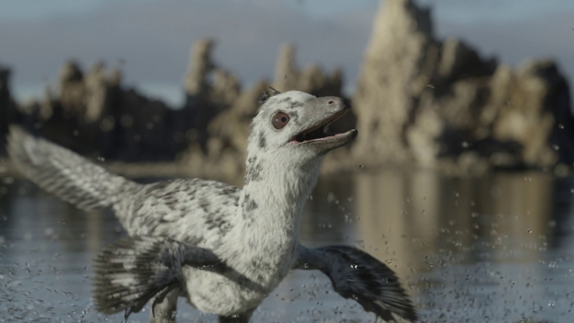 Islands (2023) —  shot,  lighting