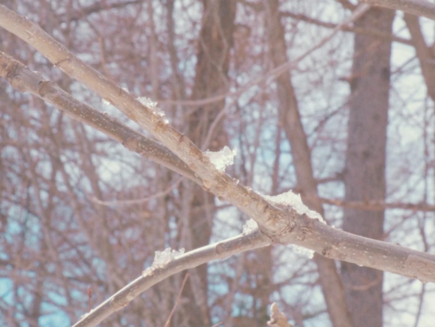 My Sunshine (2024) —  shot,  lighting