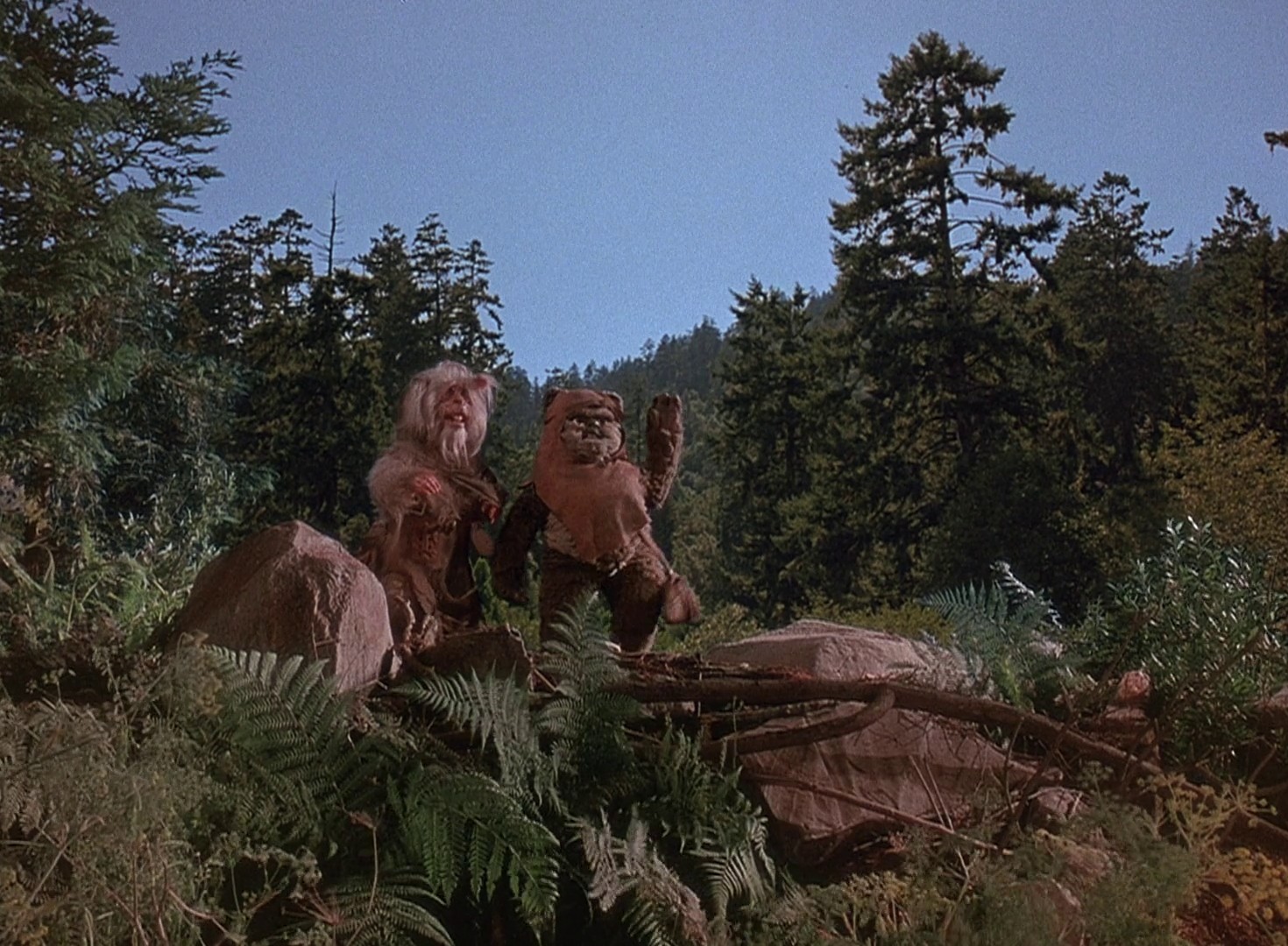 Ewoks: The Battle for Endor (1985) —  shot,  lighting